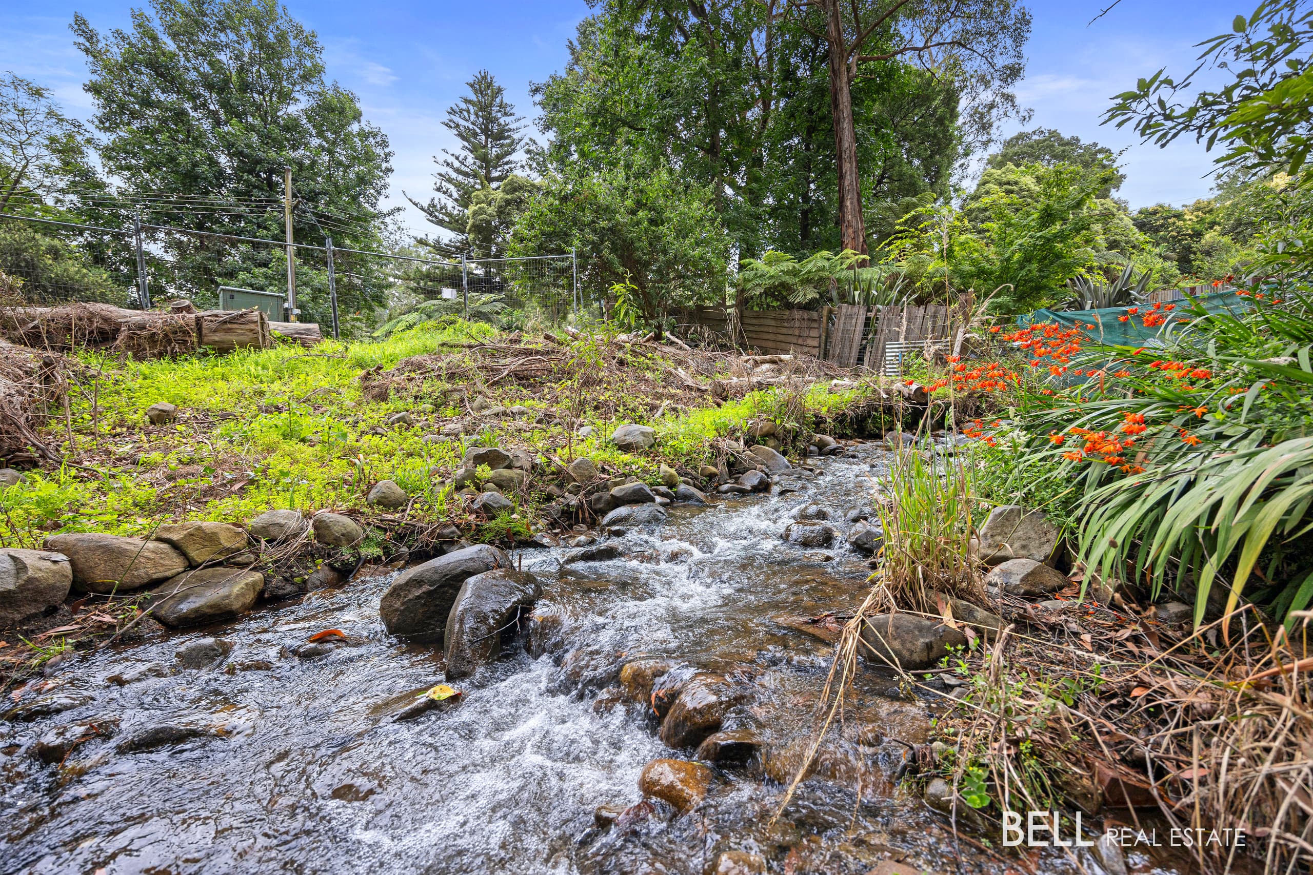 53 Wonga Road, MILLGROVE, Millgrove - Thumbnail 4