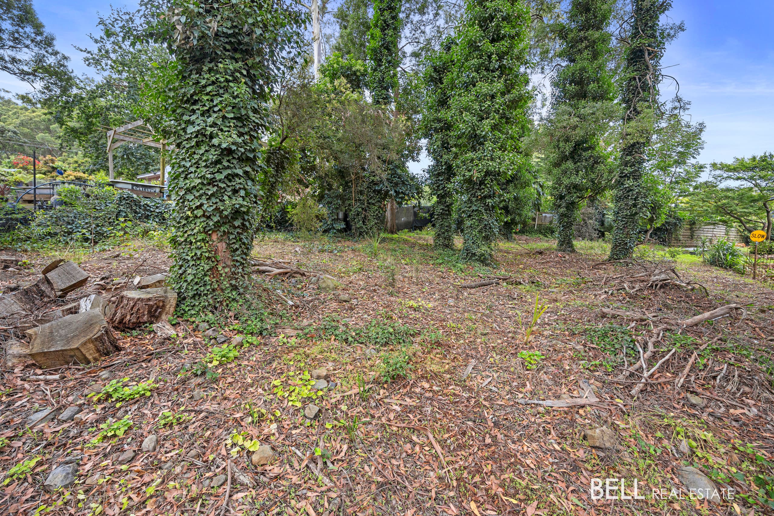 53 Wonga Road, MILLGROVE, Millgrove - Thumbnail 3