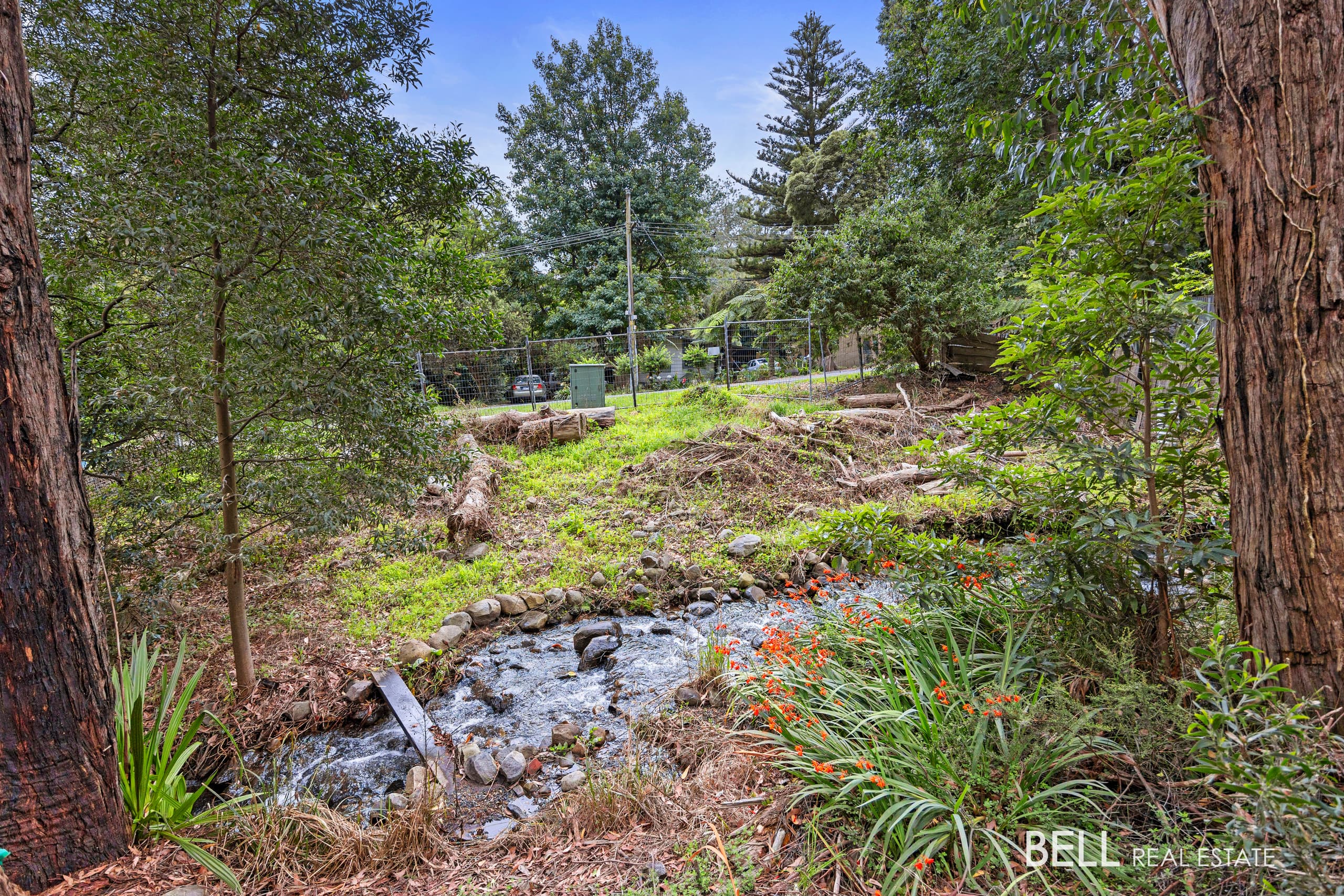 53 Wonga Road, MILLGROVE, Millgrove - Thumbnail 7