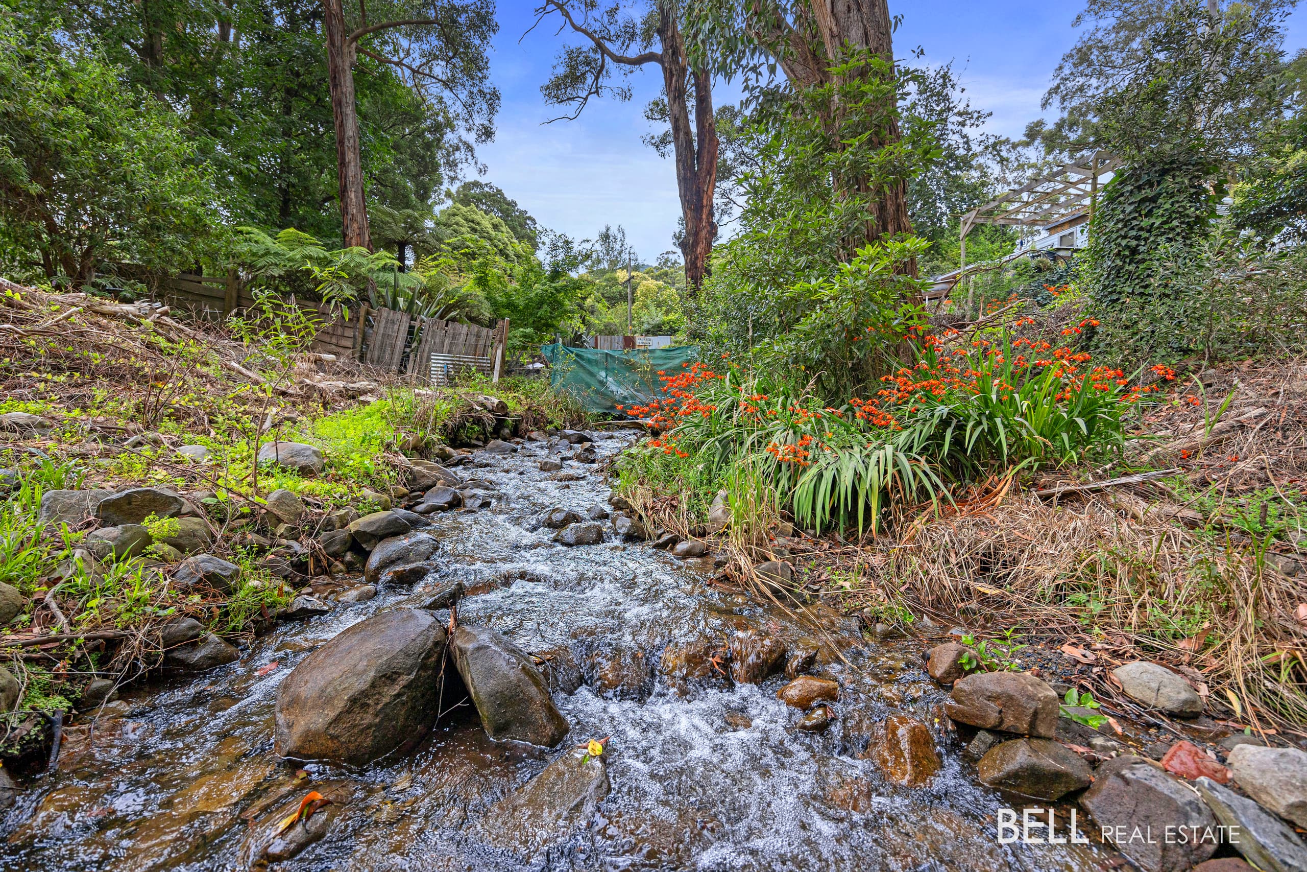 53 Wonga Road, MILLGROVE, Millgrove - Thumbnail 8