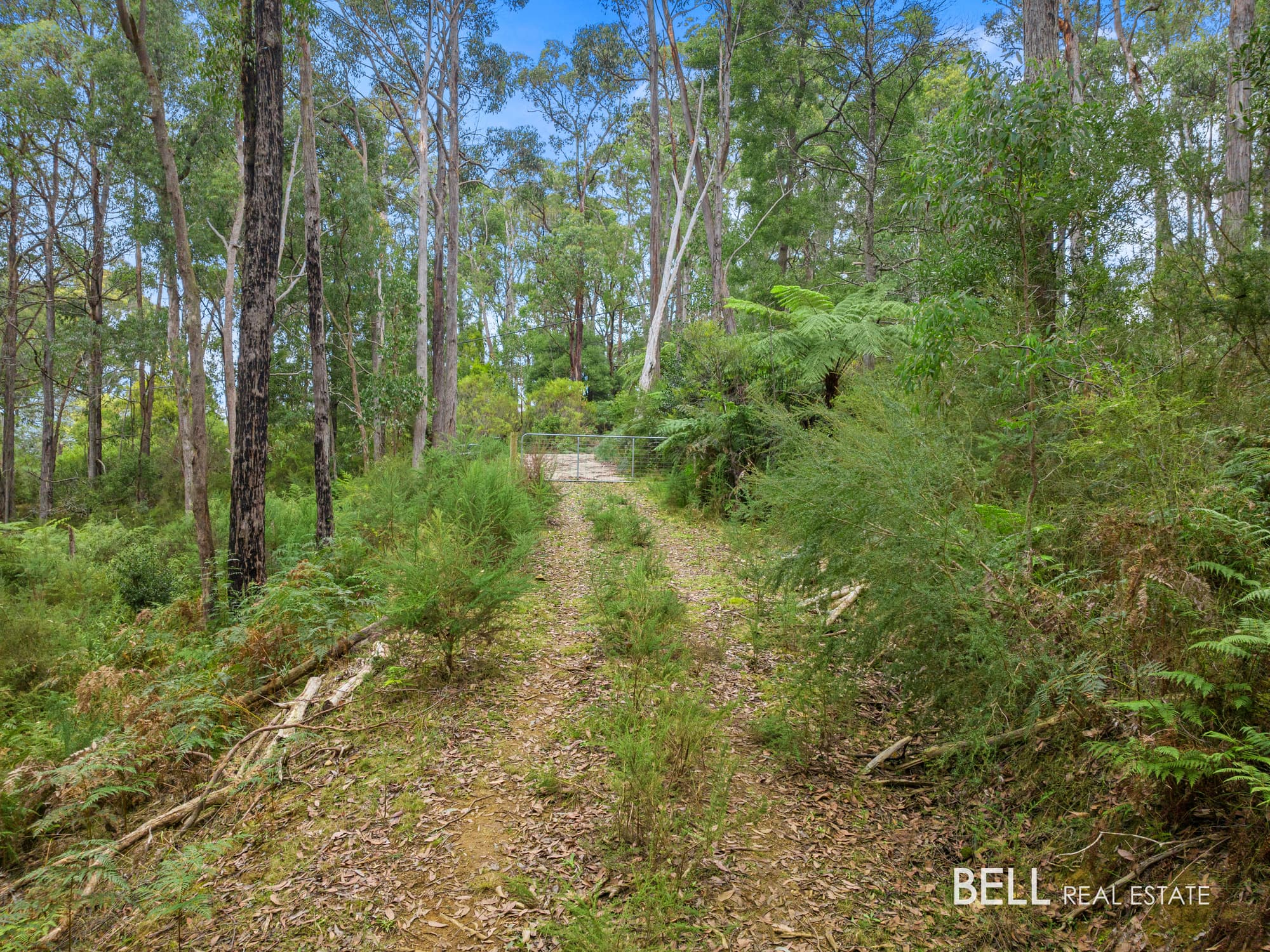 100 Banksia Court, CASTELLA, Castella - Thumbnail 5