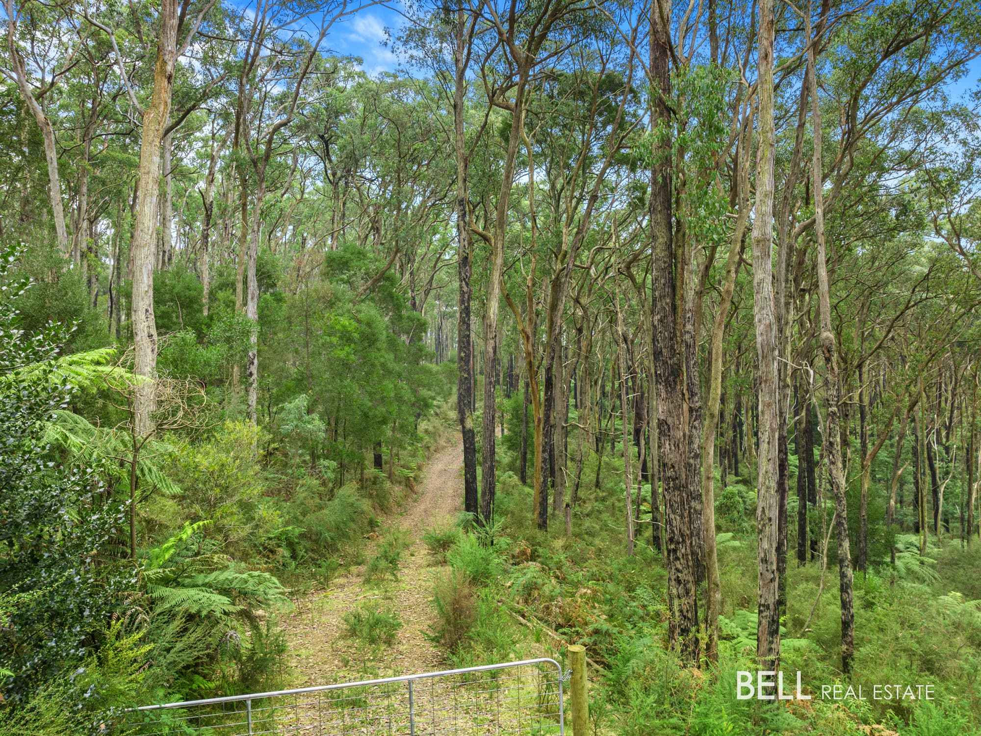 100 Banksia Court, CASTELLA, Castella - Thumbnail 3