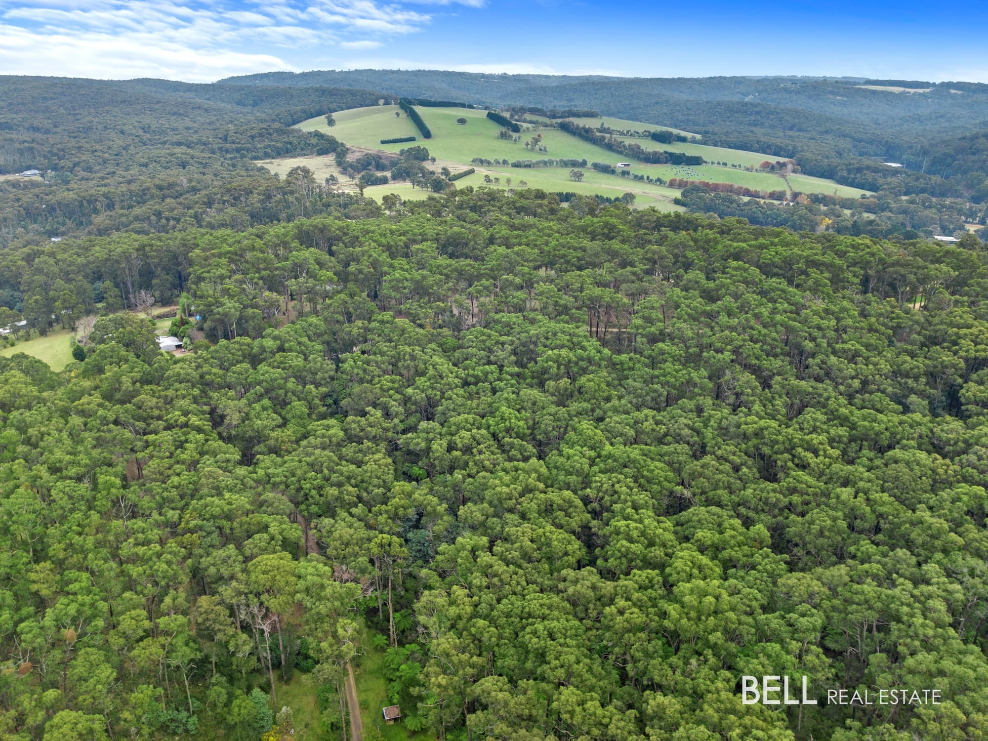100 Banksia Court, CASTELLA, Castella - Thumbnail 7