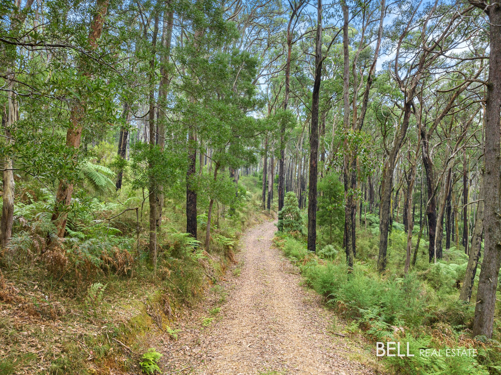 100 Banksia Court, CASTELLA, Castella - Image 1