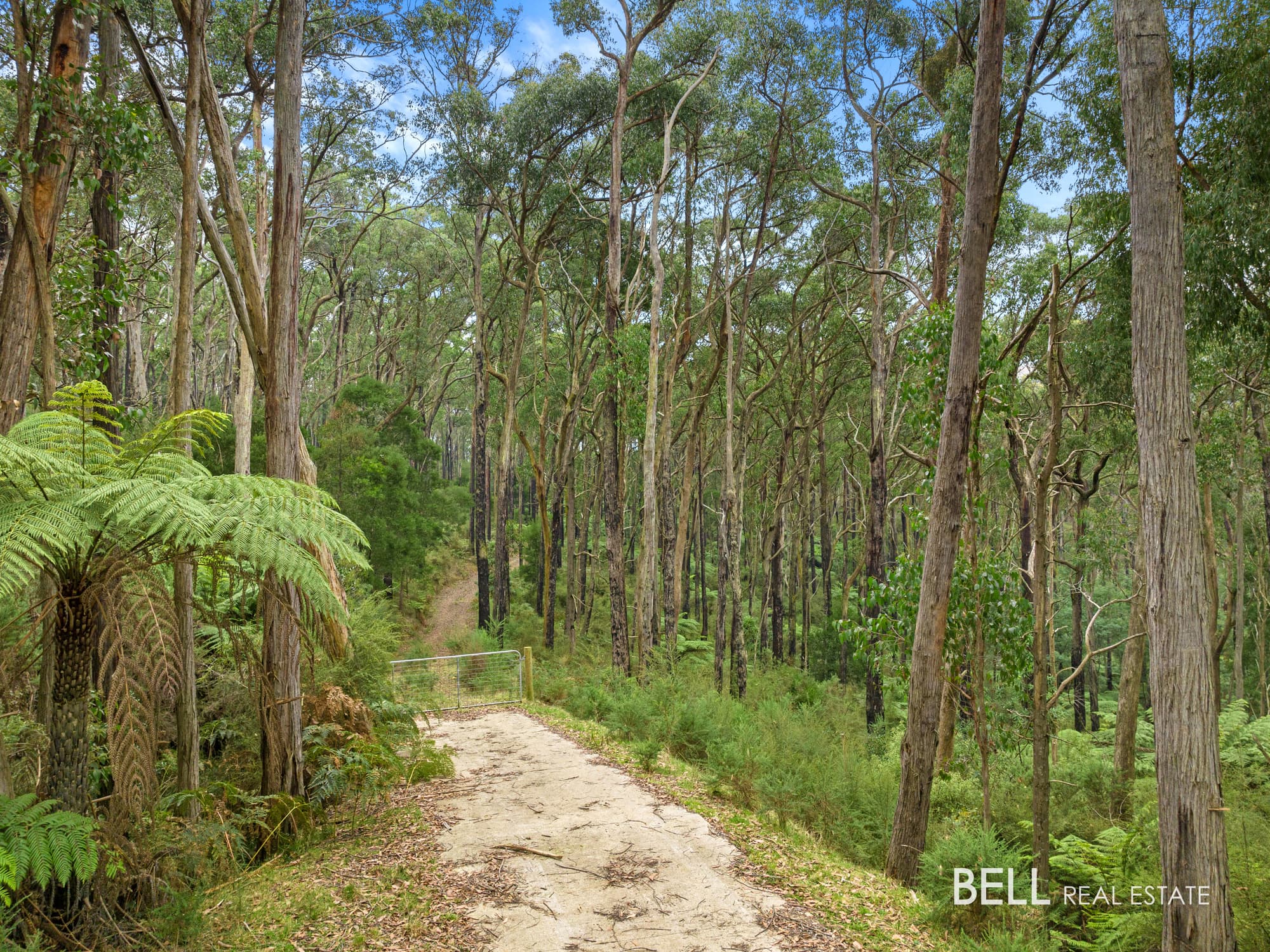 100 Banksia Court, CASTELLA, Castella - Thumbnail 4