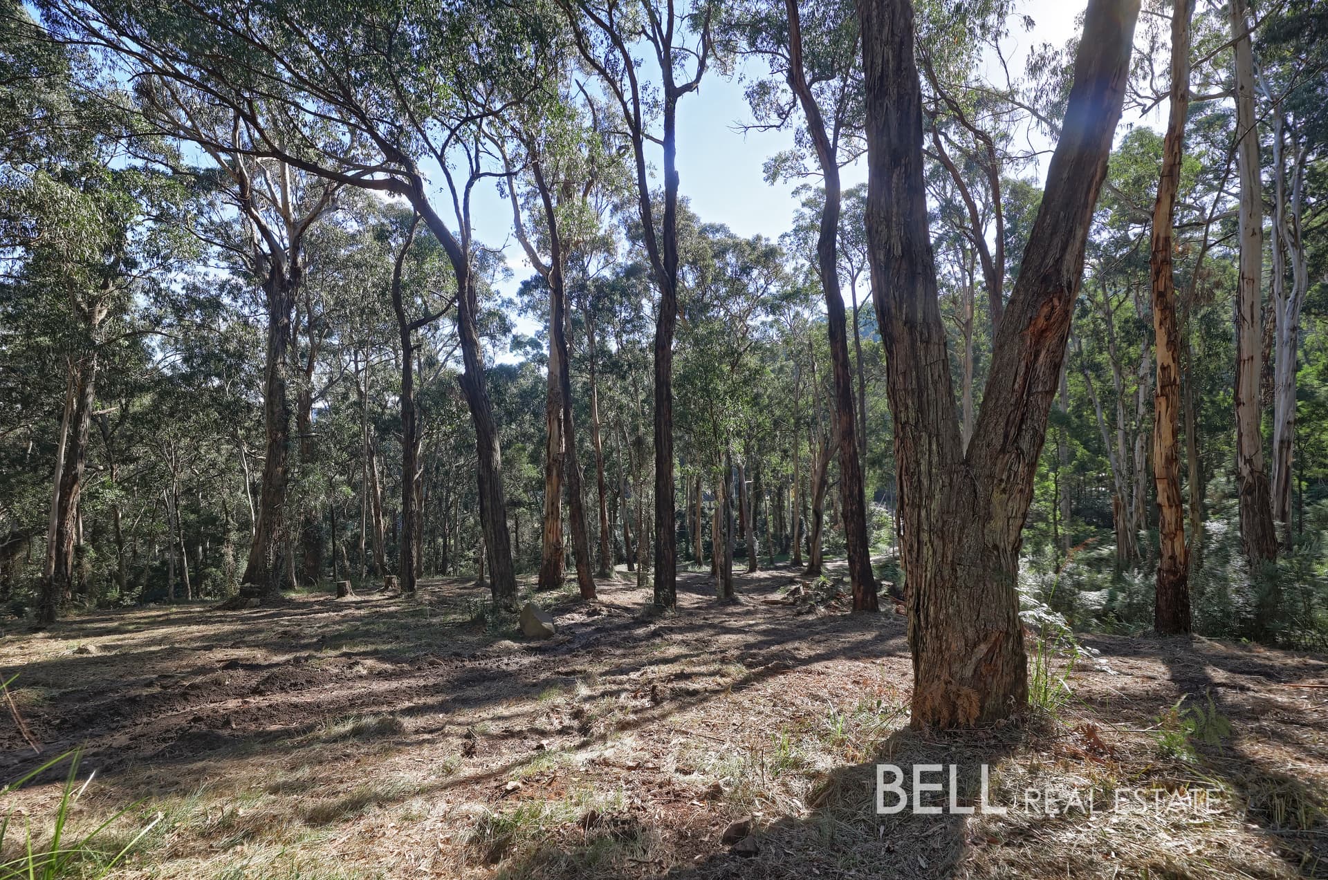 33 Selby Aura Road, MENZIES CREEK, Menzies Creek - Image 1