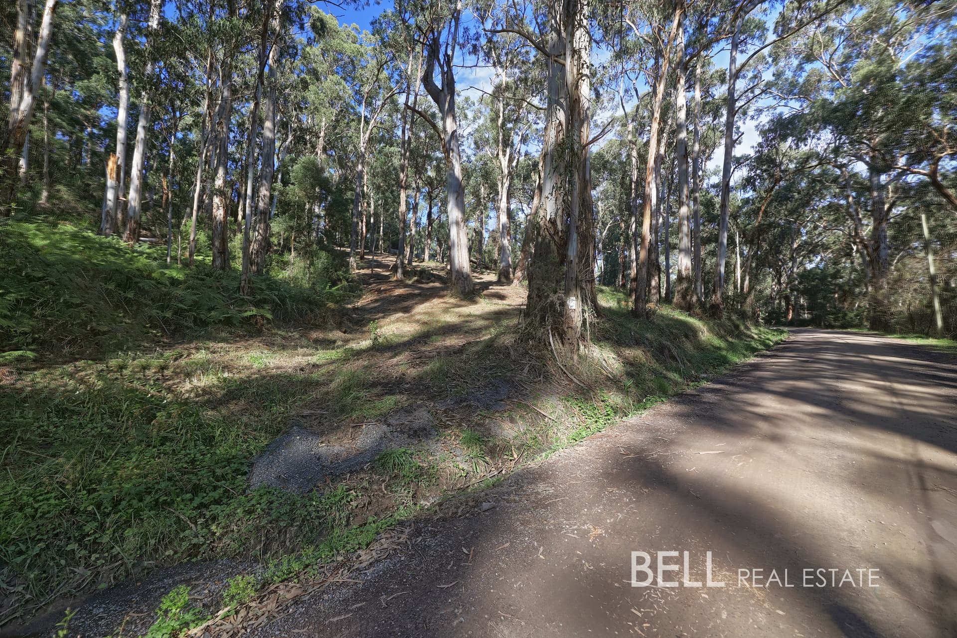 33 Selby Aura Road, MENZIES CREEK, Menzies Creek - Thumbnail 6