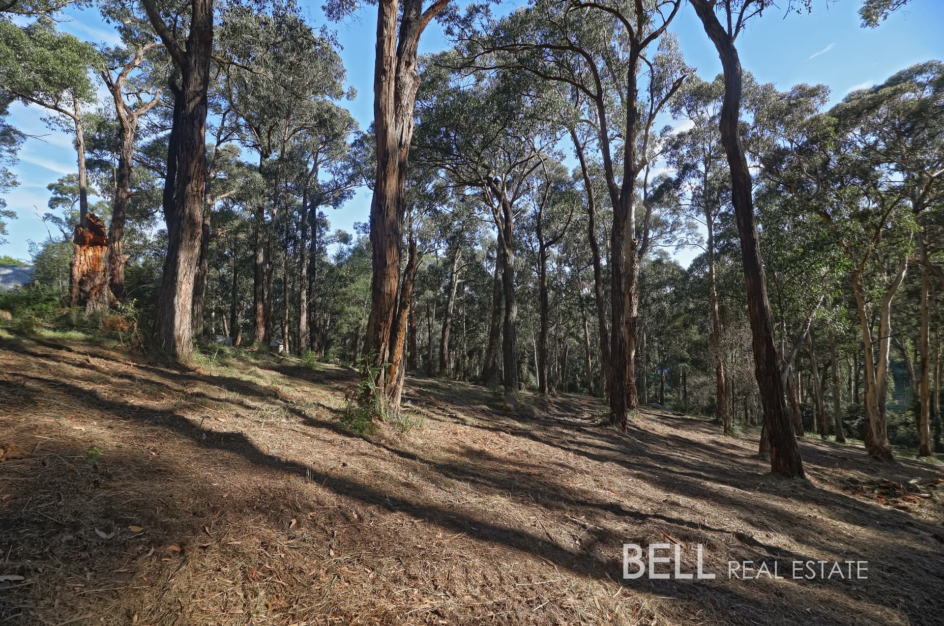 33 Selby Aura Road, MENZIES CREEK, Menzies Creek - Thumbnail 4