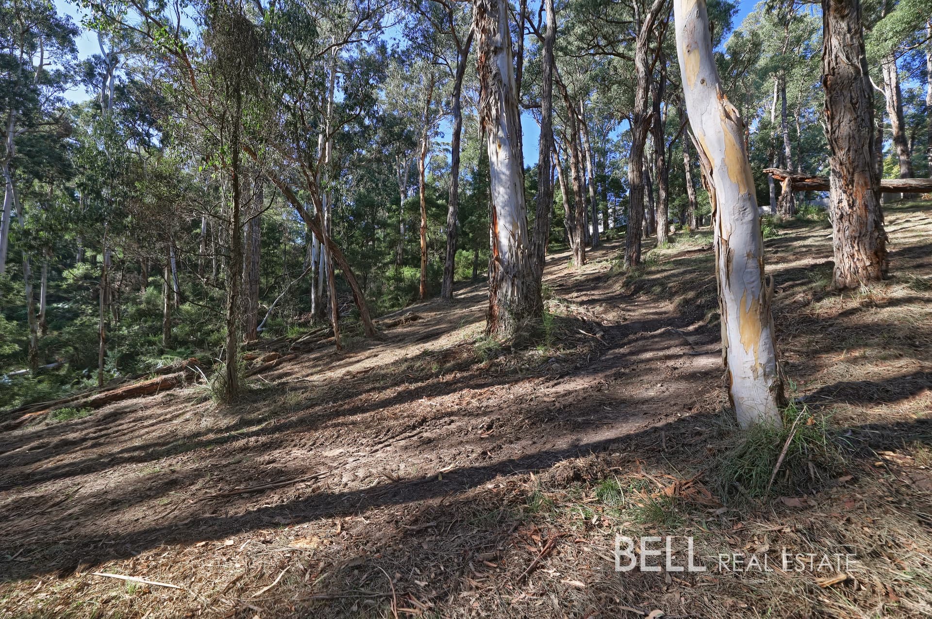 33 Selby Aura Road, MENZIES CREEK, Menzies Creek - Thumbnail 3