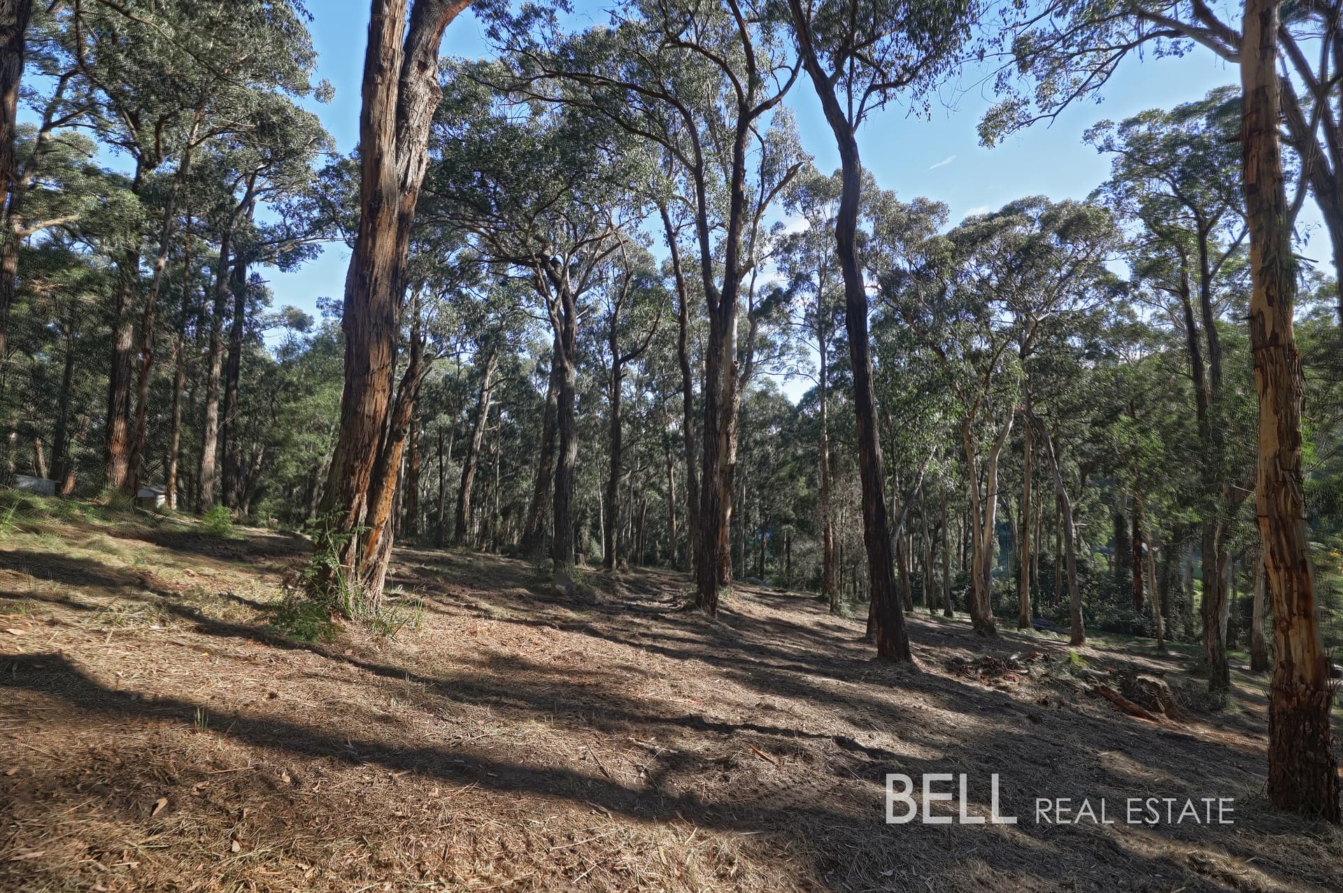 33 Selby Aura Road, MENZIES CREEK, Menzies Creek - Thumbnail 2