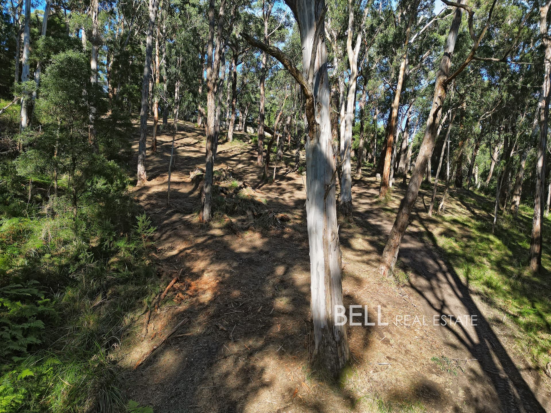 33 Selby Aura Road, MENZIES CREEK, Menzies Creek - Thumbnail 5