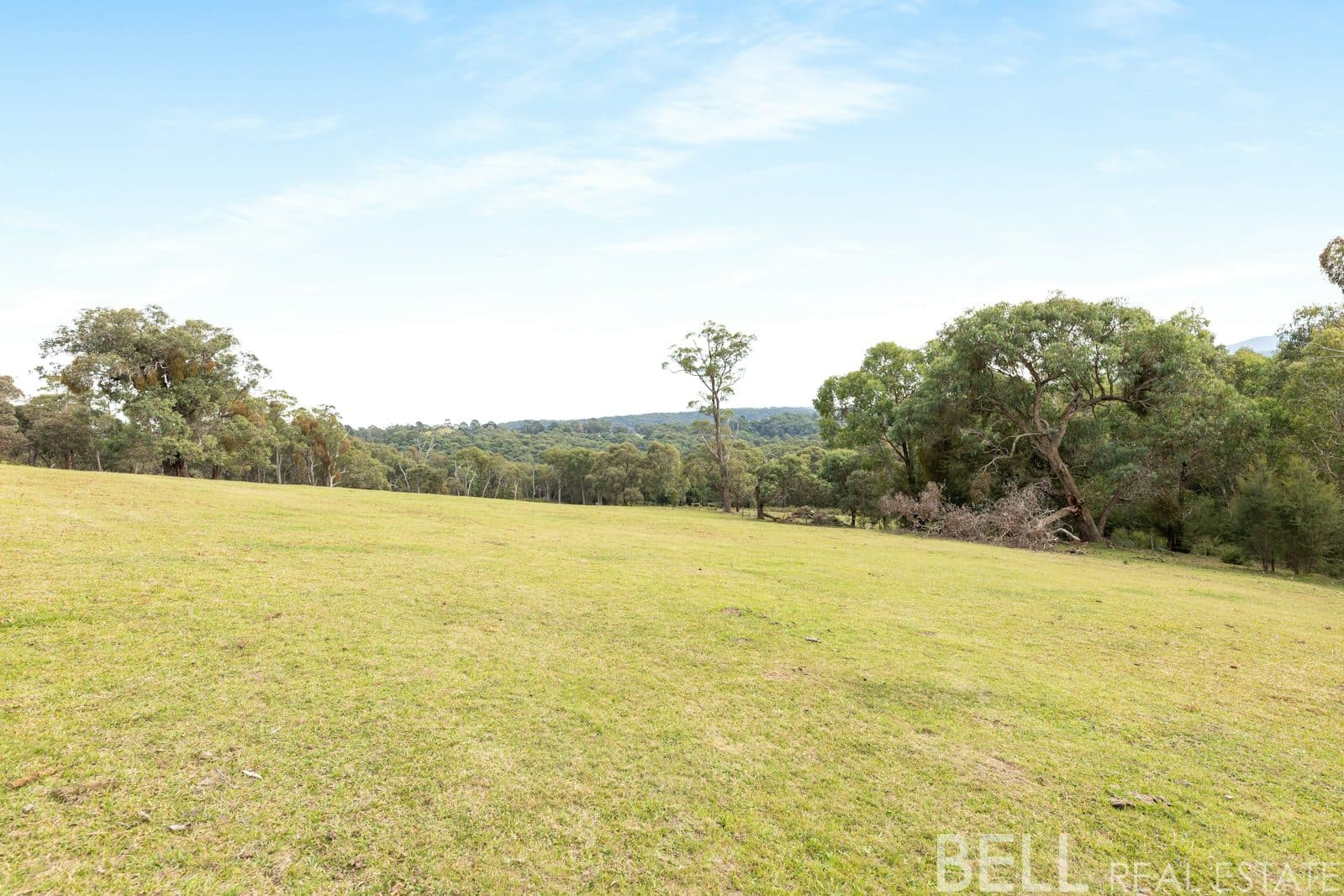 110 Yellowgum Road, HODDLES CREEK, Hoddles Creek - Thumbnail 8