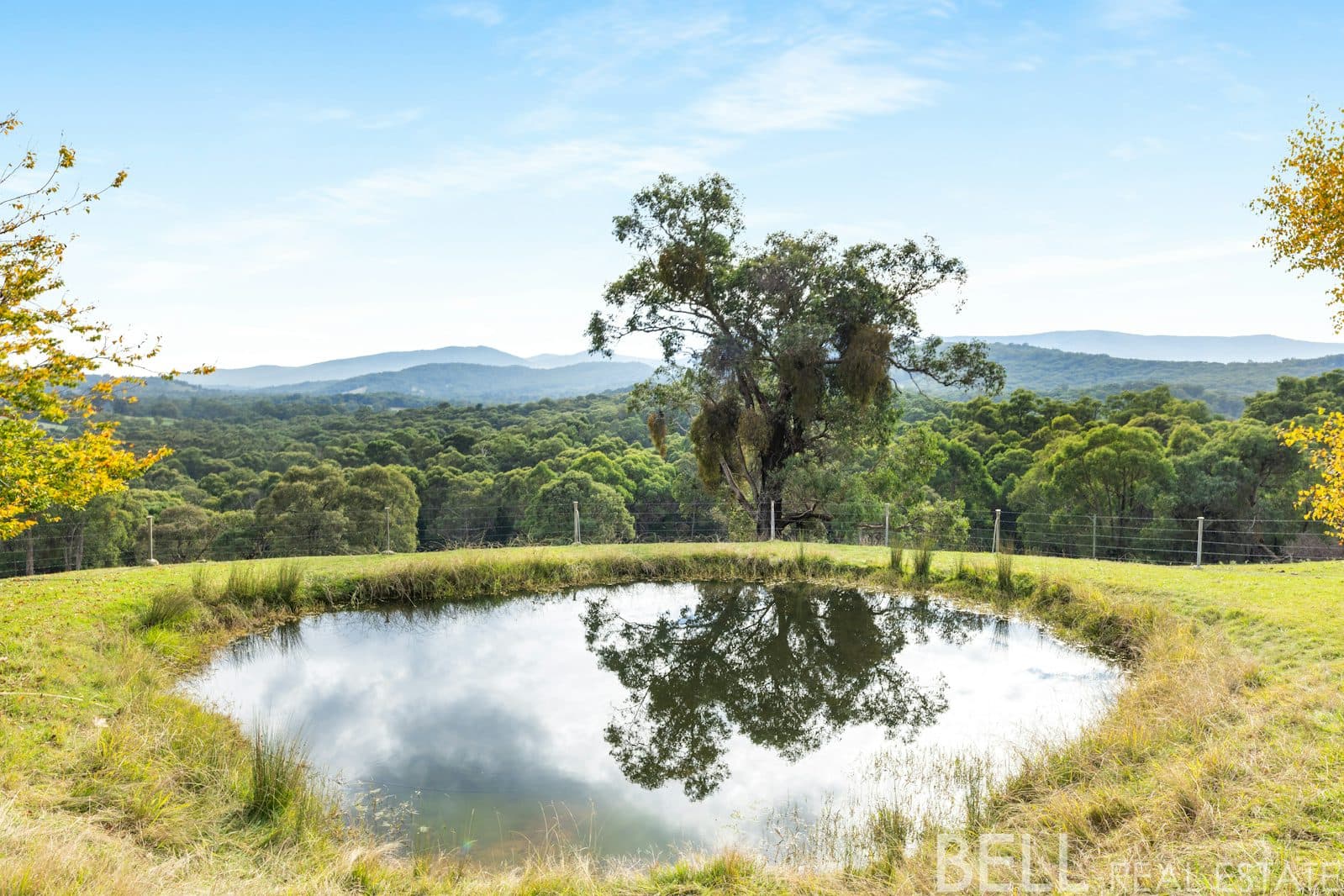 110 Yellowgum Road, HODDLES CREEK, Hoddles Creek - Image 1