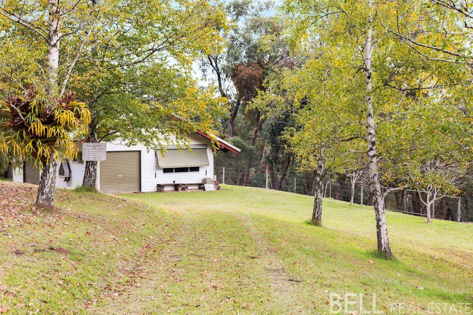110 Yellowgum Road, HODDLES CREEK, Hoddles Creek - Thumbnail 4