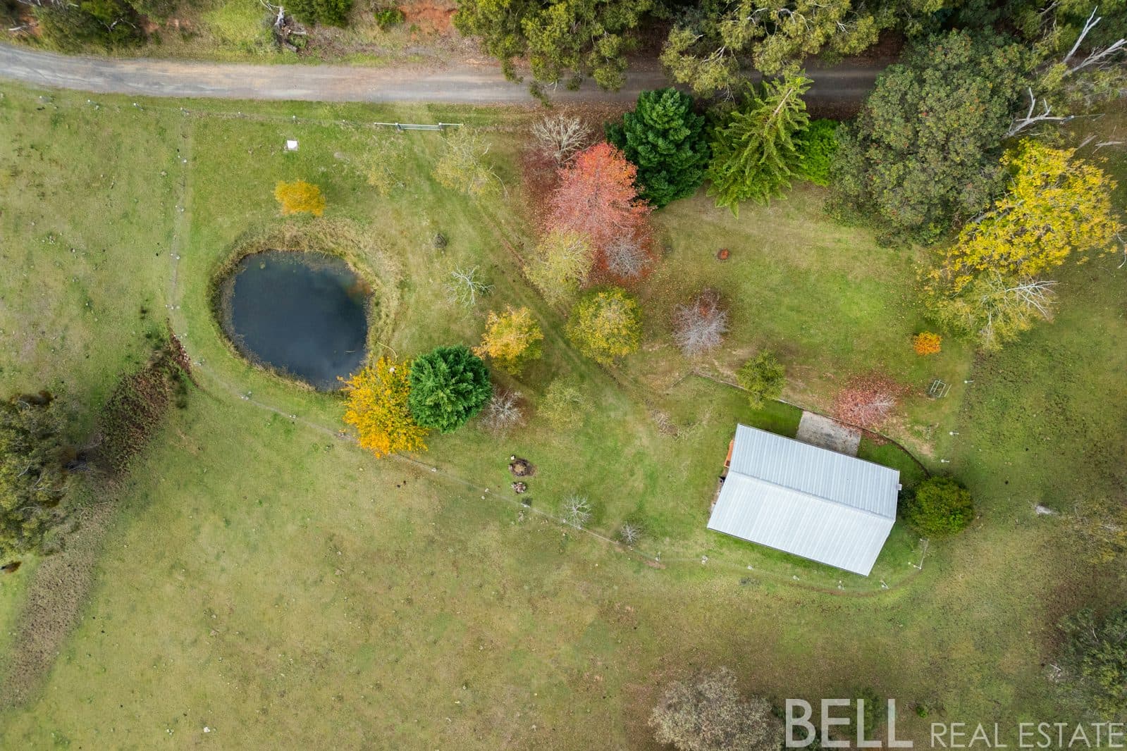 110 Yellowgum Road, HODDLES CREEK, Hoddles Creek - Thumbnail 6