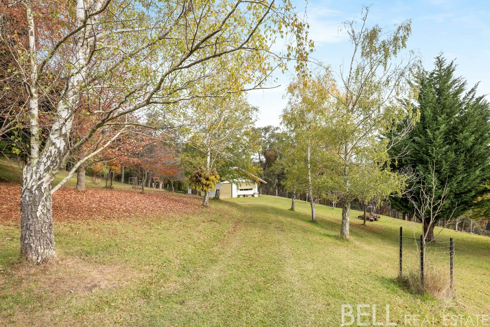 110 Yellowgum Road, HODDLES CREEK, Hoddles Creek - Thumbnail 5