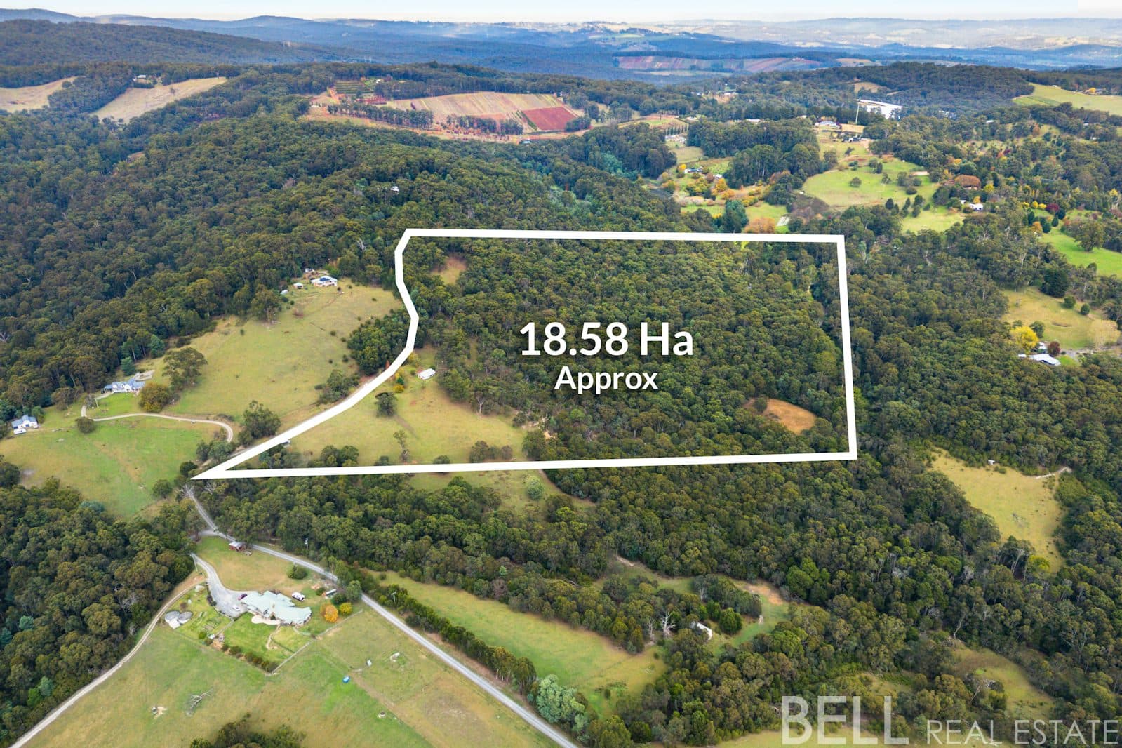 110 Yellowgum Road, HODDLES CREEK, Hoddles Creek - Thumbnail 2