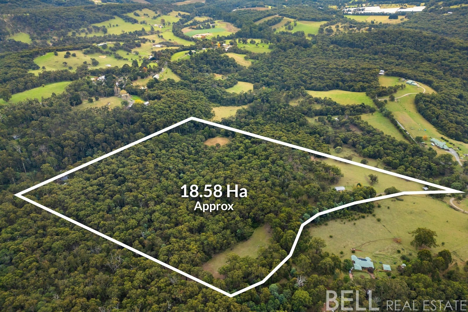 110 Yellowgum Road, HODDLES CREEK, Hoddles Creek - Thumbnail 3