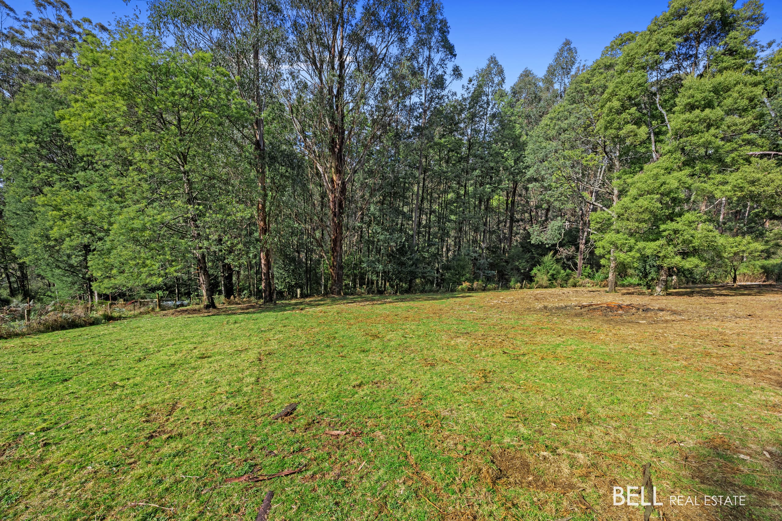555 Hazeldene Road, GLADYSDALE, Callala Bay - Thumbnail 8