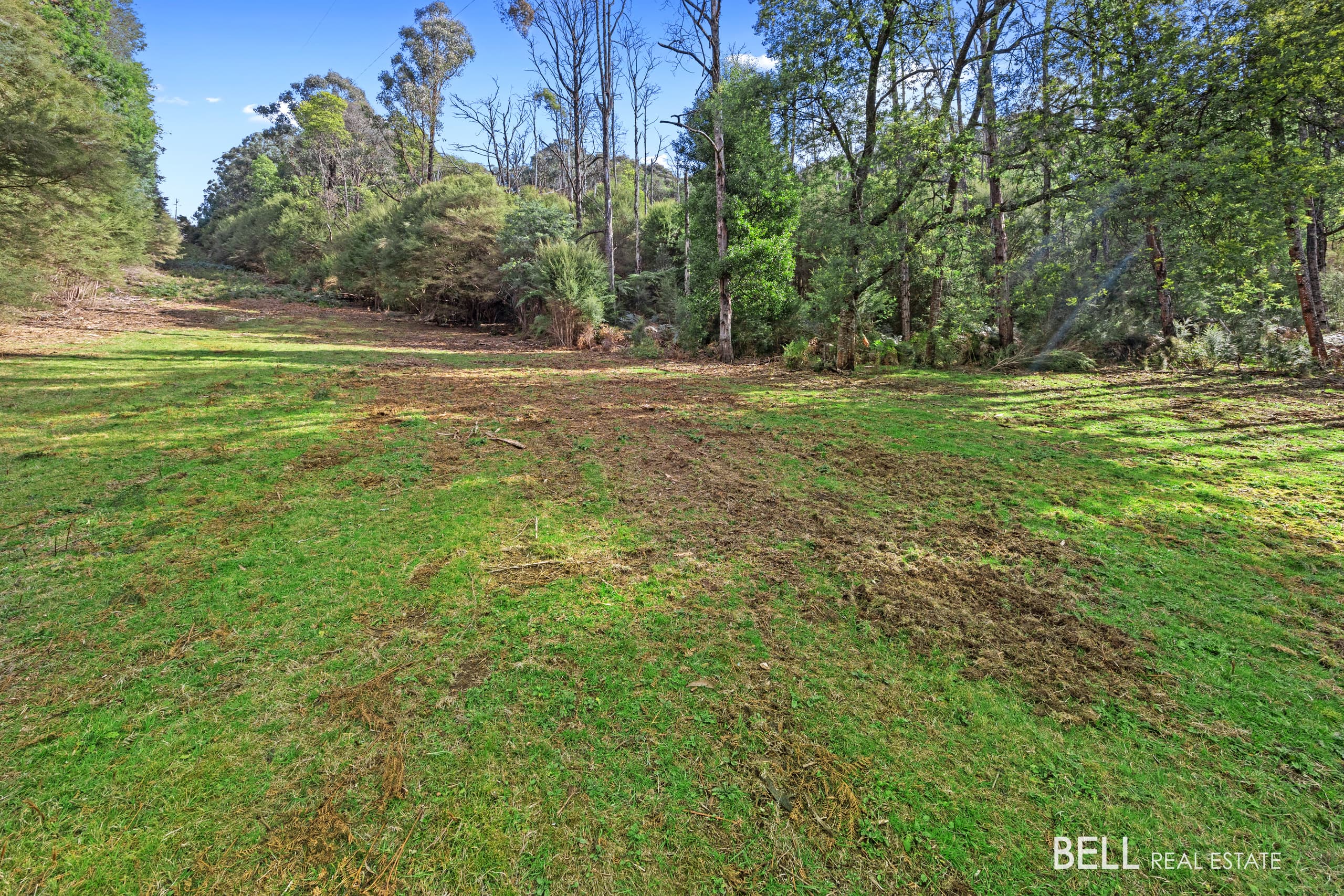 555 Hazeldene Road, GLADYSDALE, Callala Bay - Thumbnail 7