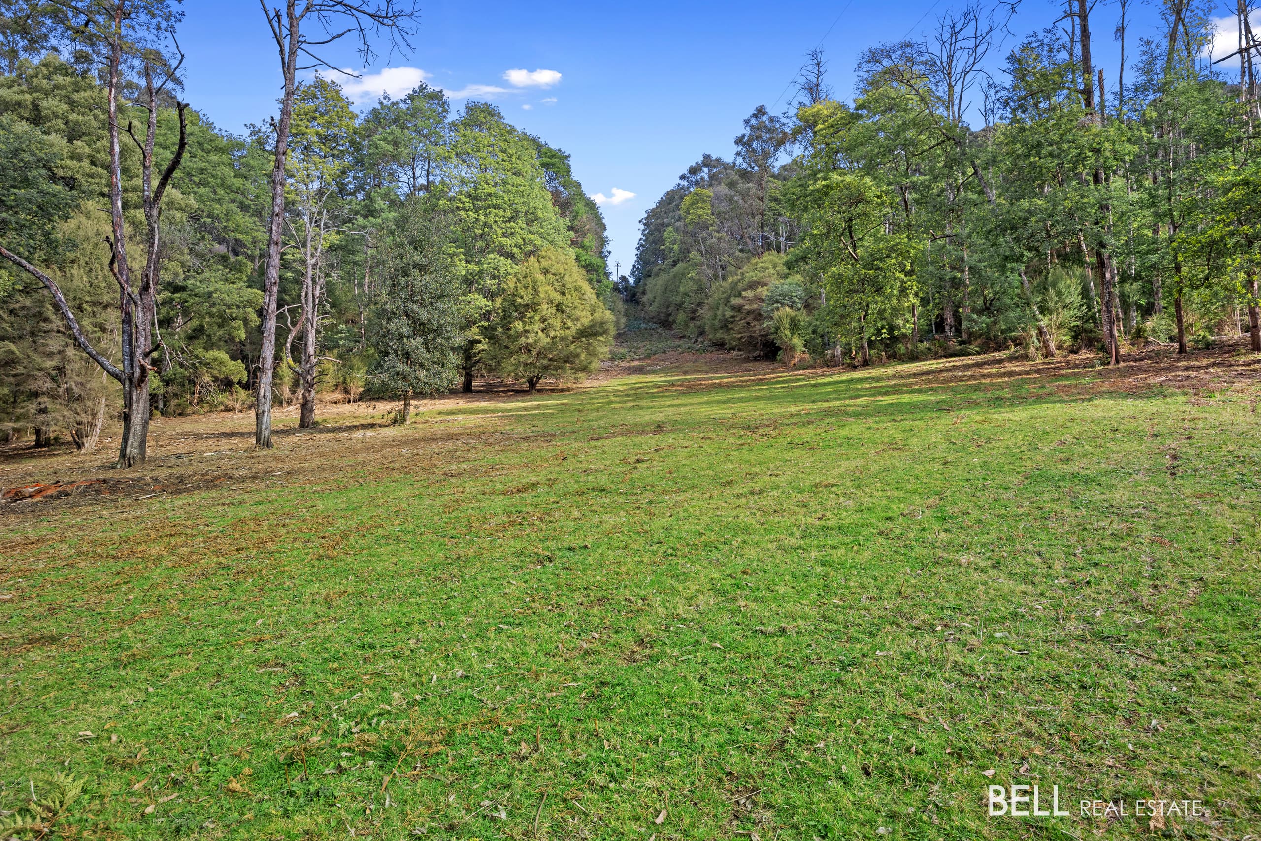 555 Hazeldene Road, GLADYSDALE, Callala Bay - Thumbnail 5