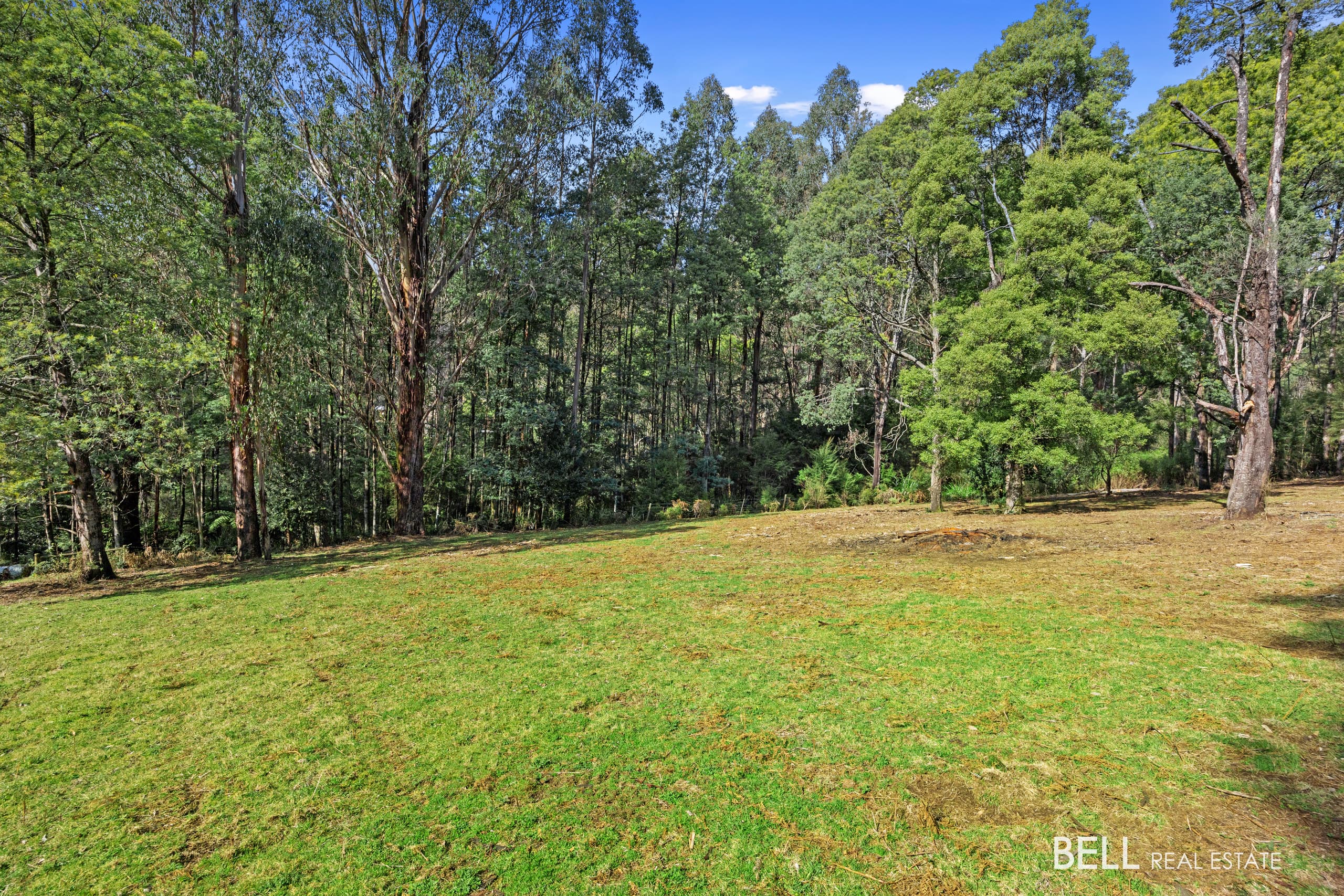 555 Hazeldene Road, GLADYSDALE, Callala Bay - Thumbnail 3