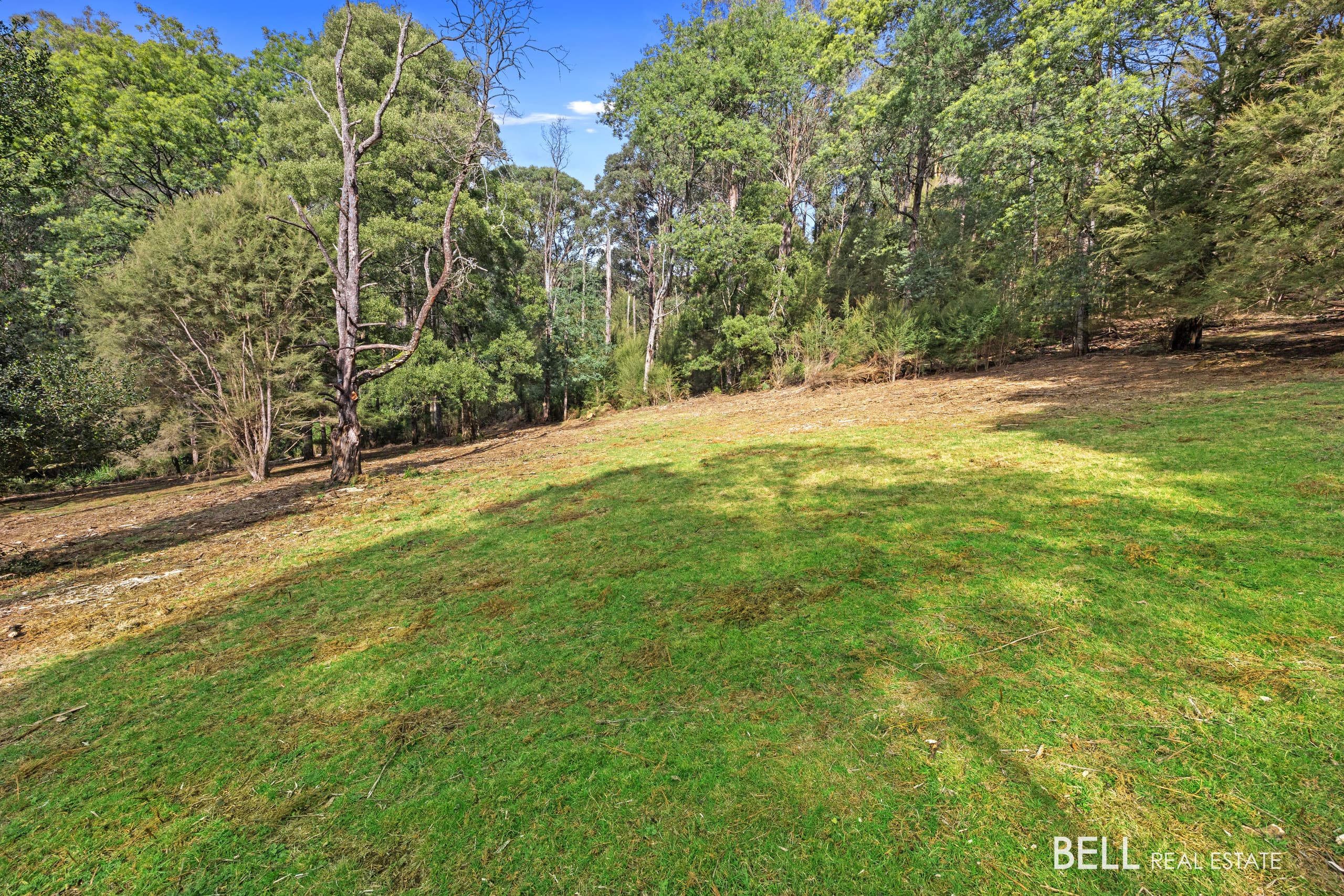 555 Hazeldene Road, GLADYSDALE, Callala Bay - Thumbnail 6