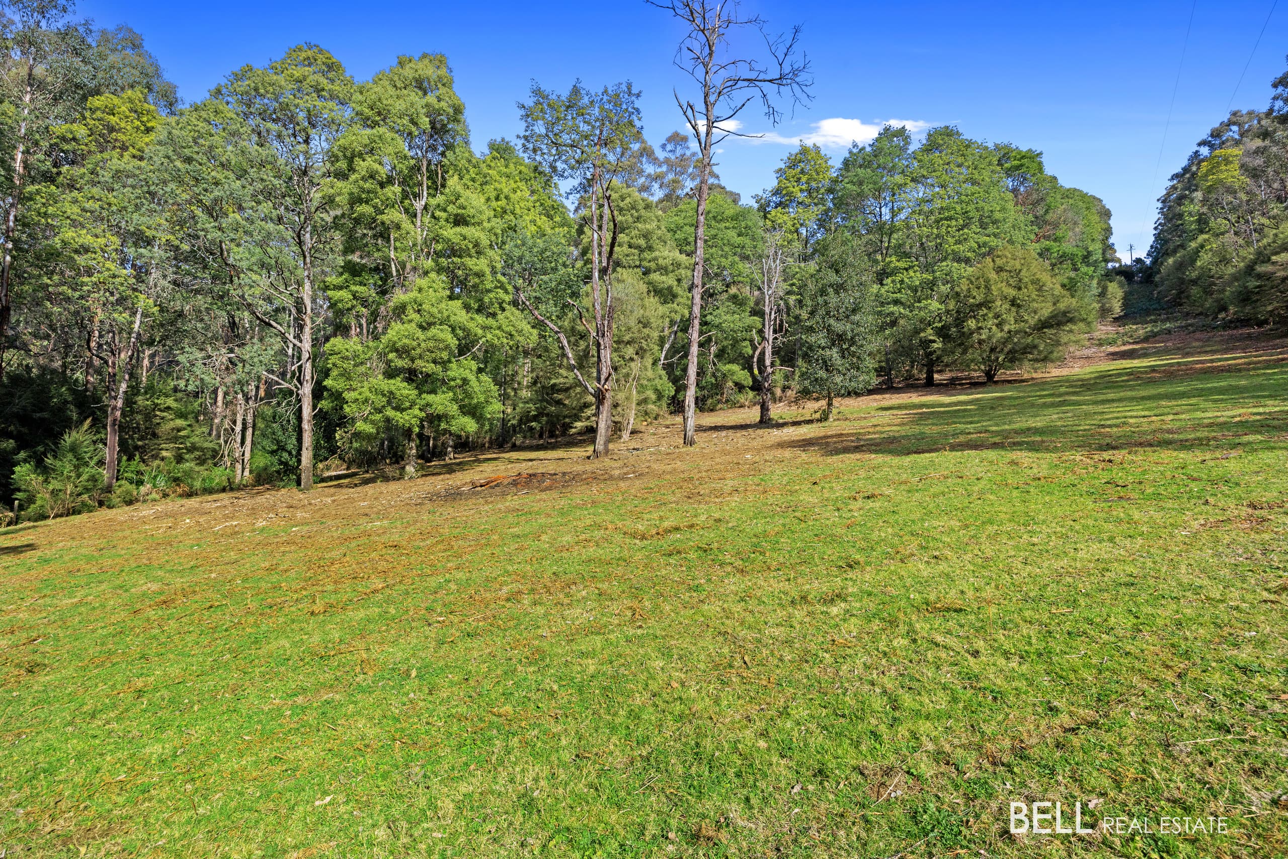 555 Hazeldene Road, GLADYSDALE, Callala Bay - Thumbnail 2