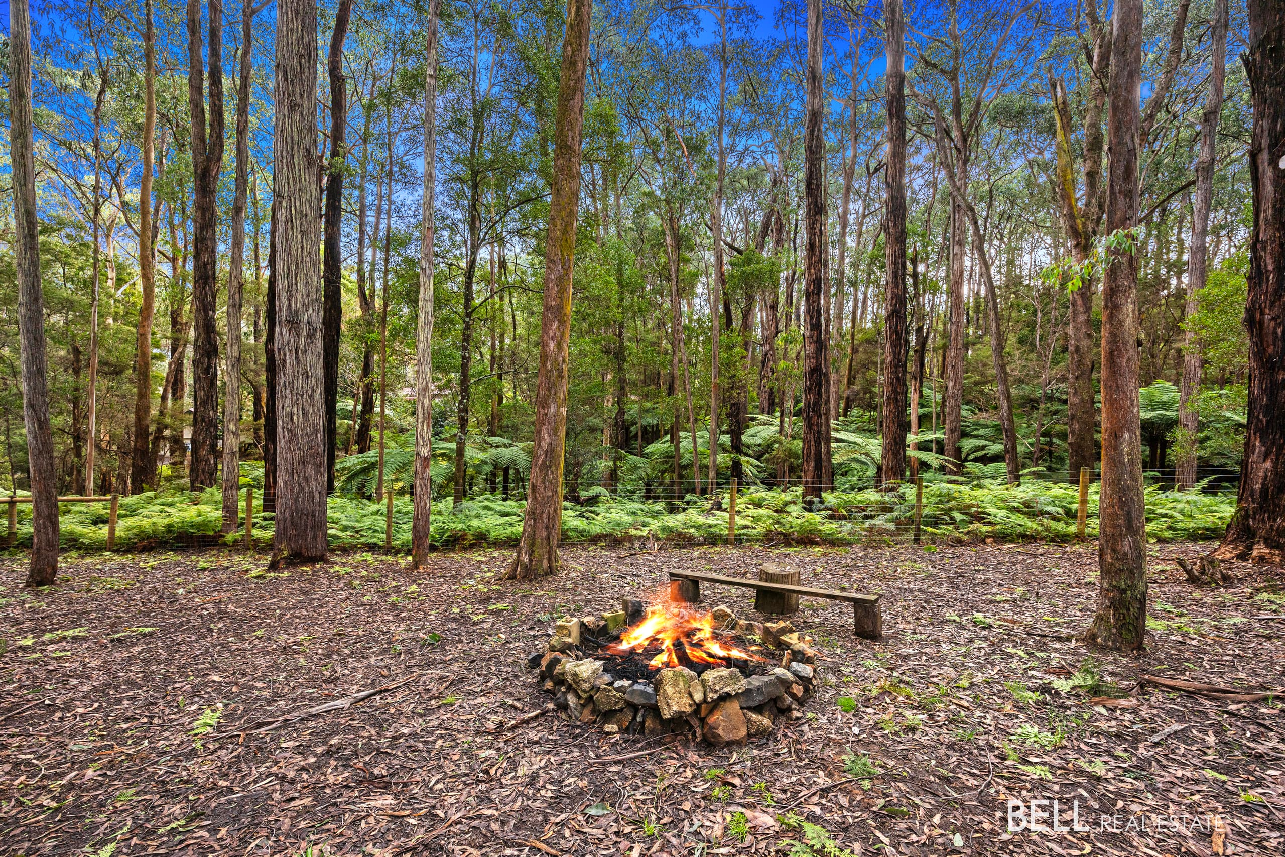 15 Lyrebird Avenue, EAST WARBURTON, East Warburton - Thumbnail 2