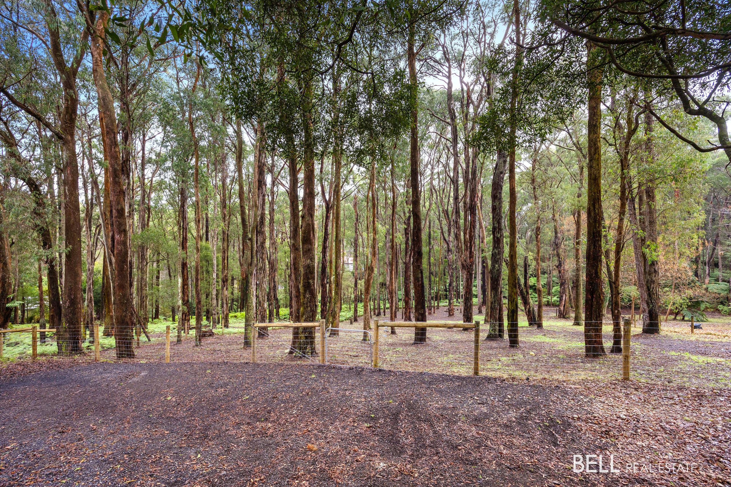 15 Lyrebird Avenue, EAST WARBURTON, East Warburton - Image 1