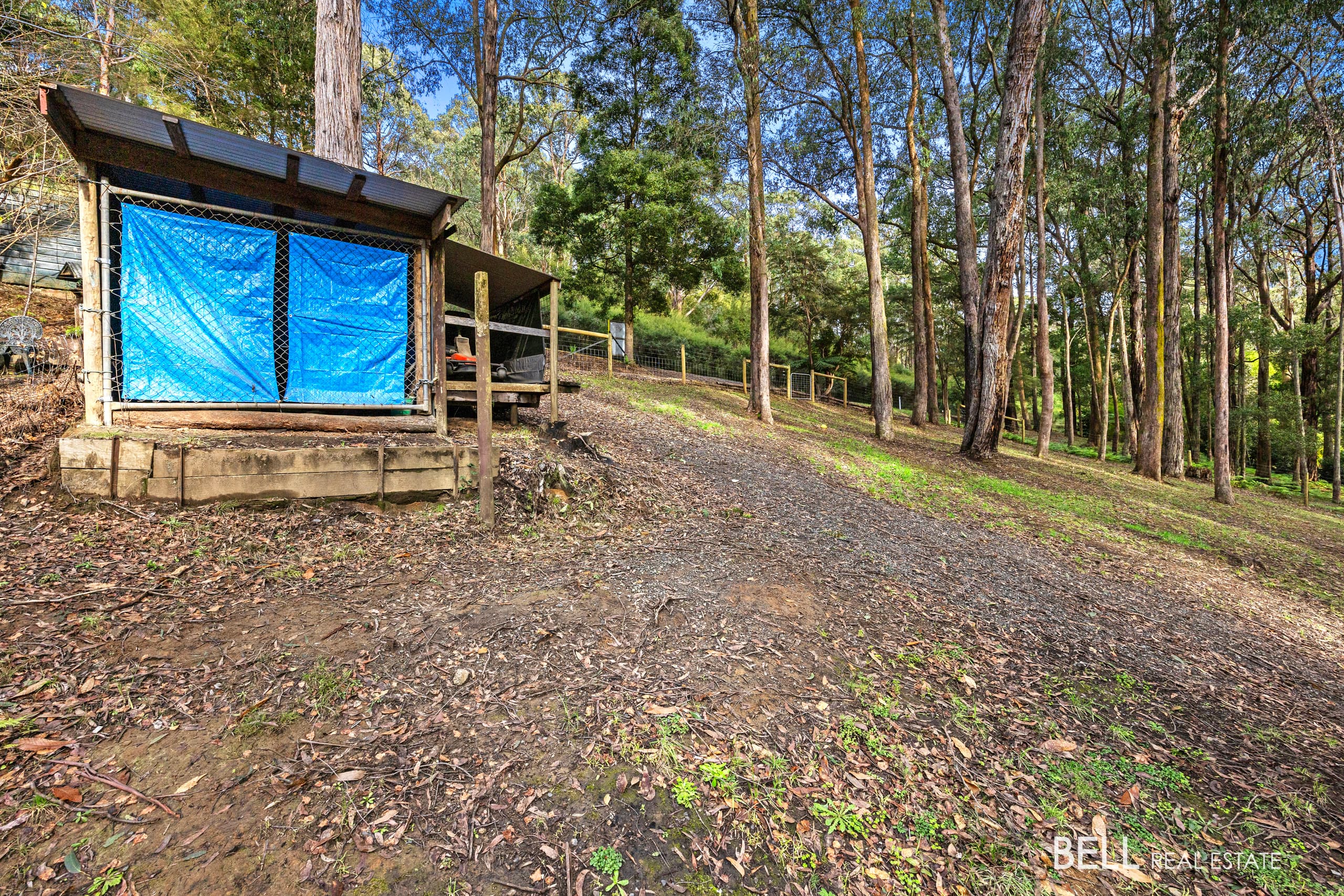 15 Lyrebird Avenue, EAST WARBURTON, East Warburton - Thumbnail 6