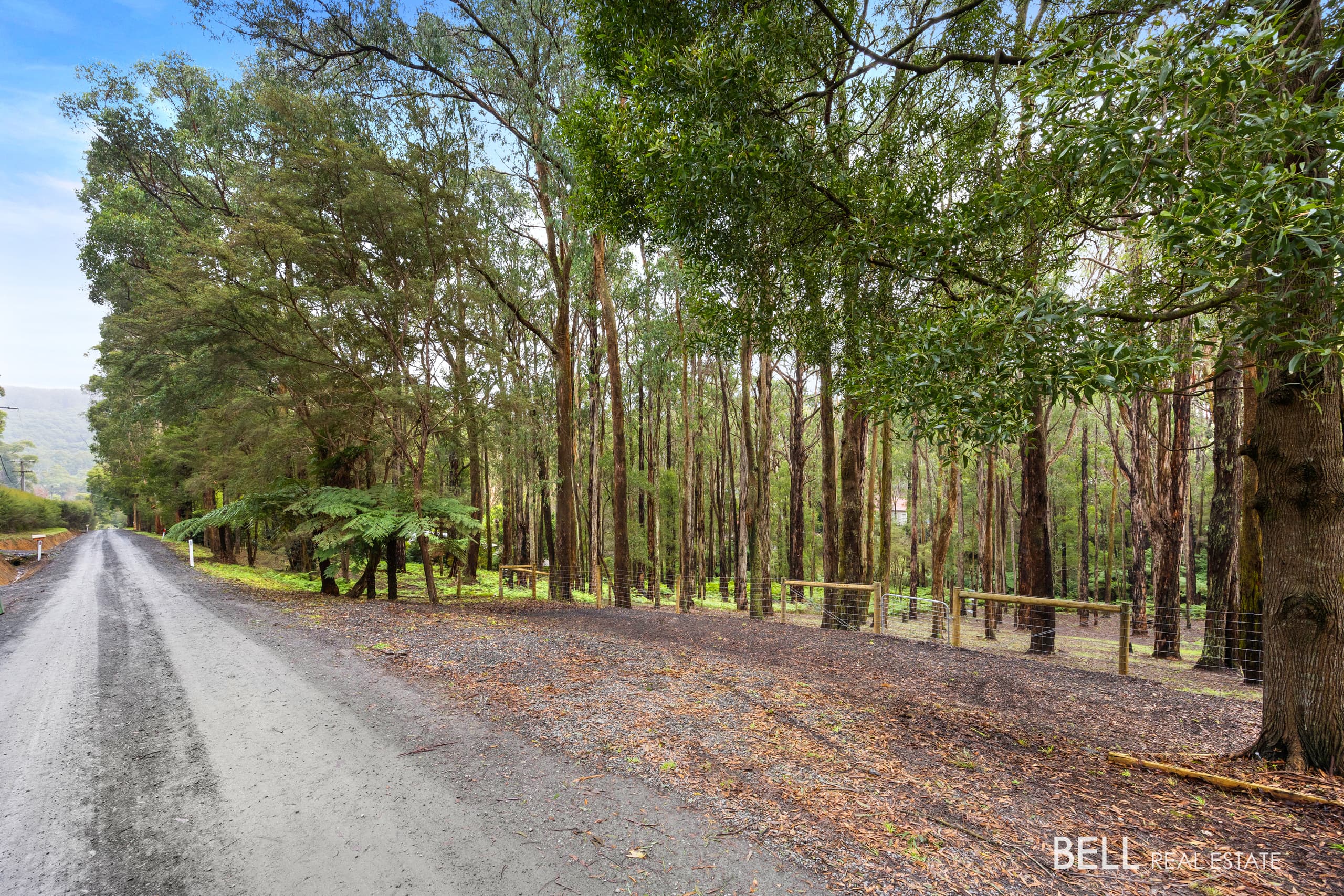 15 Lyrebird Avenue, EAST WARBURTON, East Warburton - Thumbnail 7