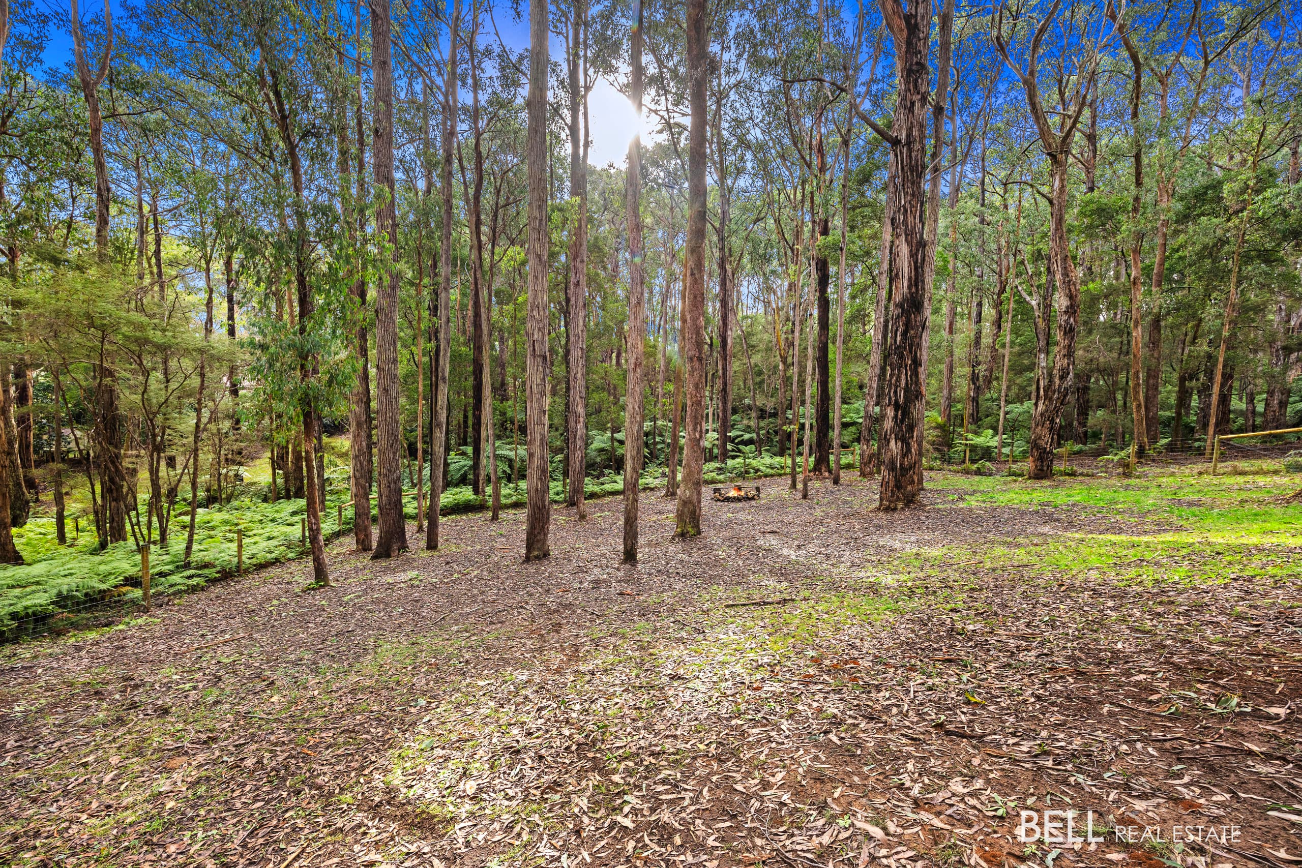 15 Lyrebird Avenue, EAST WARBURTON, East Warburton - Thumbnail 5