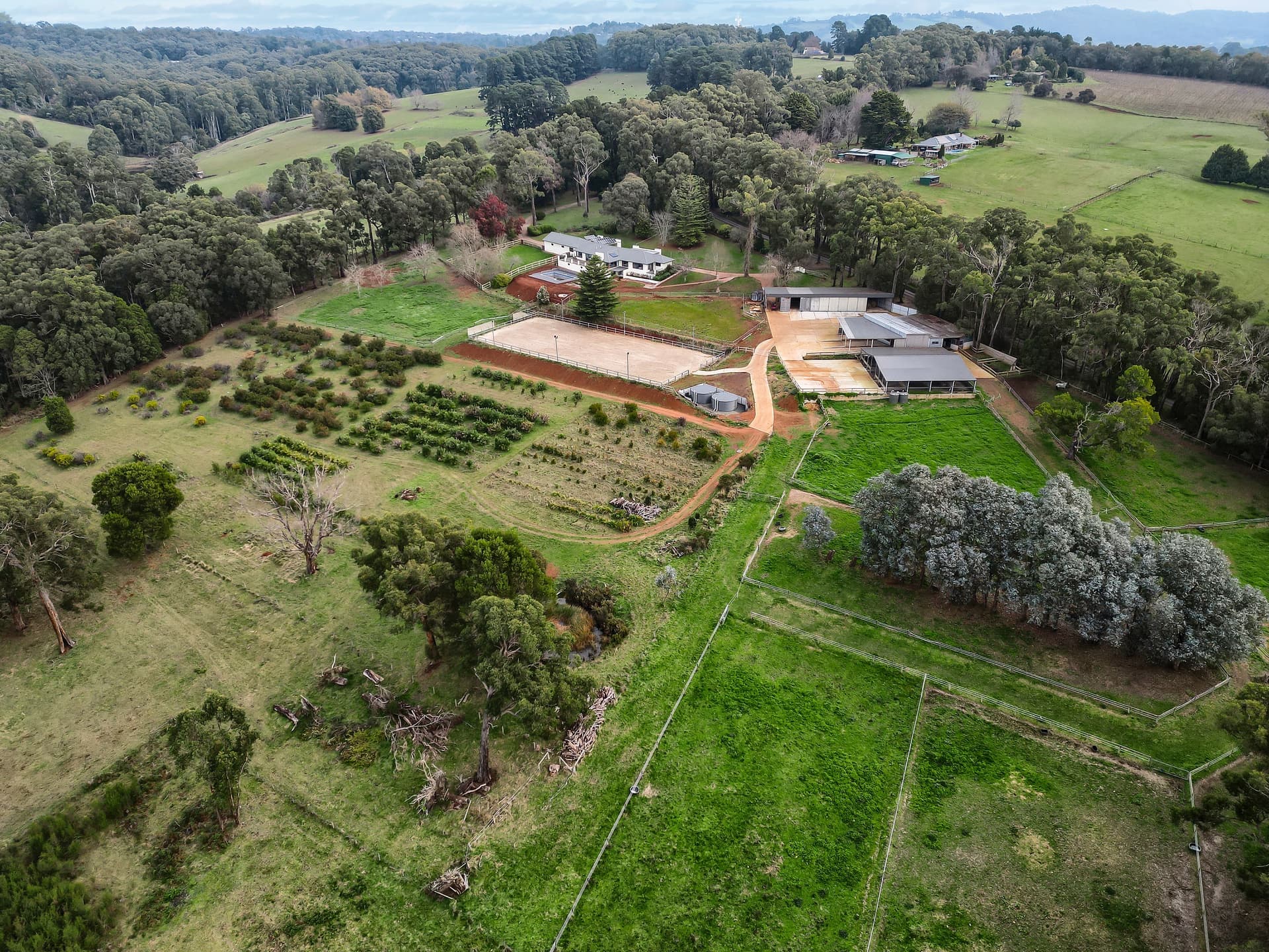 8 Cherry Road, AVONSLEIGH, Avonsleigh - Thumbnail 3