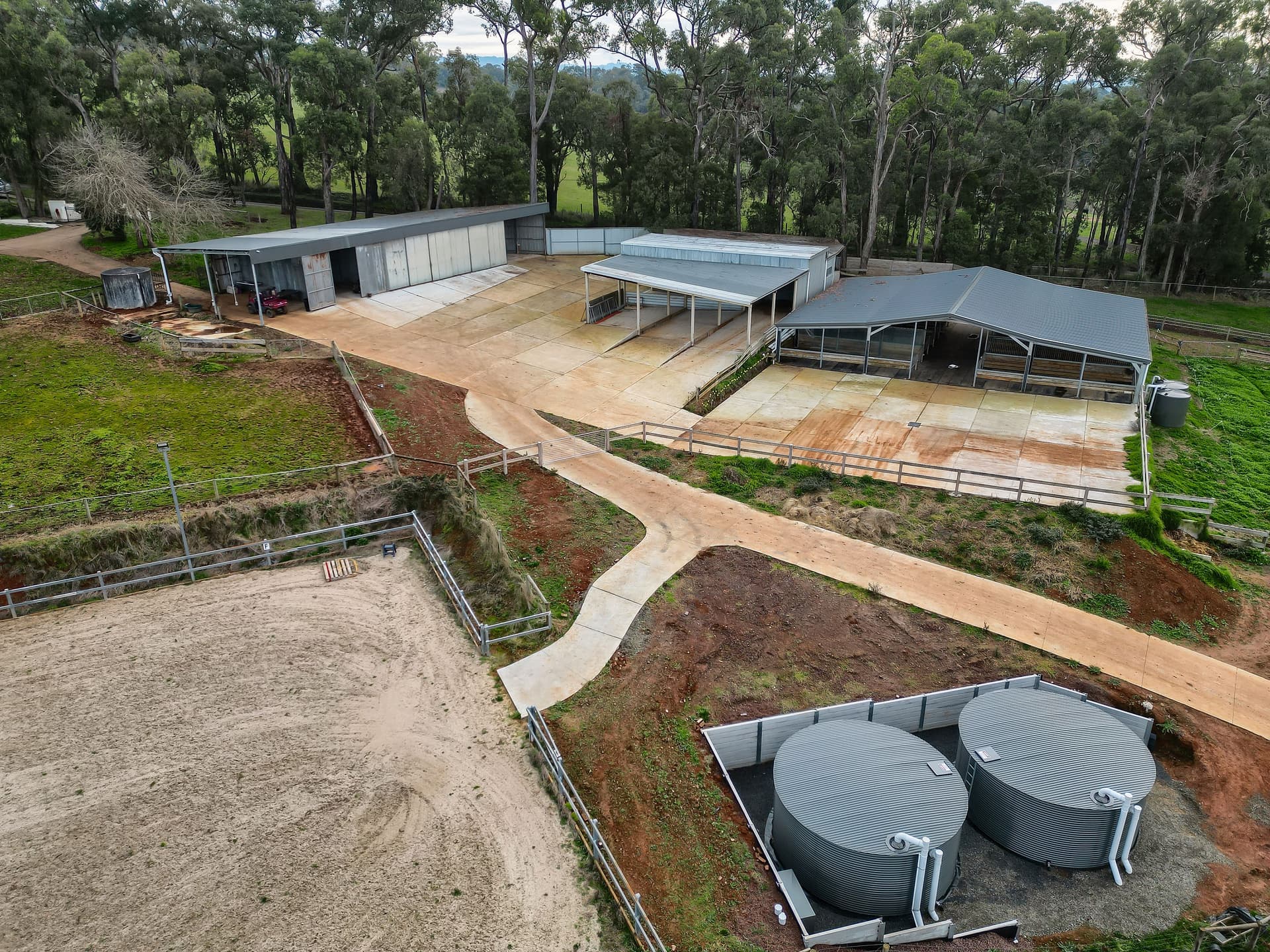 8 Cherry Road, AVONSLEIGH, Avonsleigh - Thumbnail 4