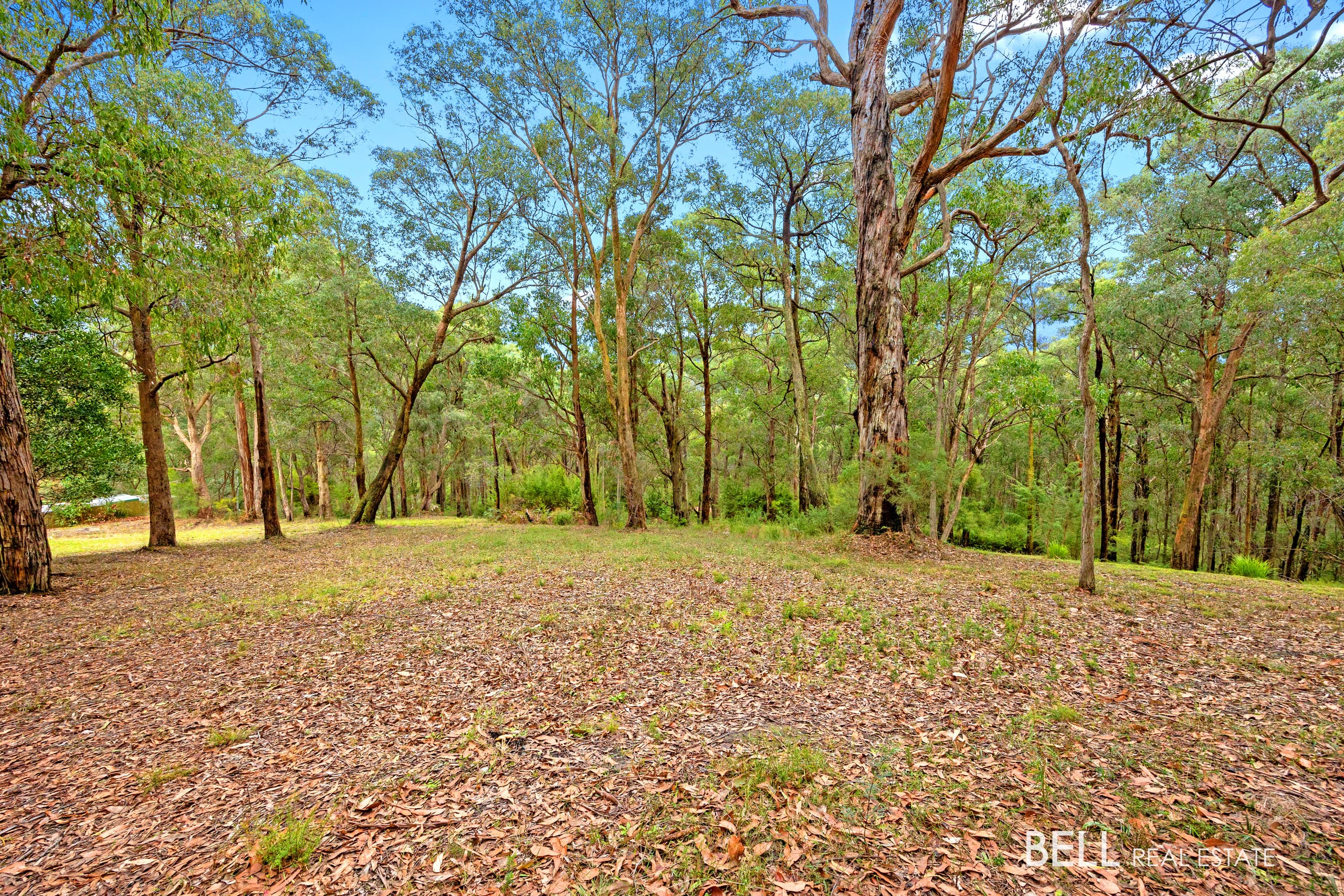 3 Summit Close, EAST WARBURTON, East Warburton - Thumbnail 2