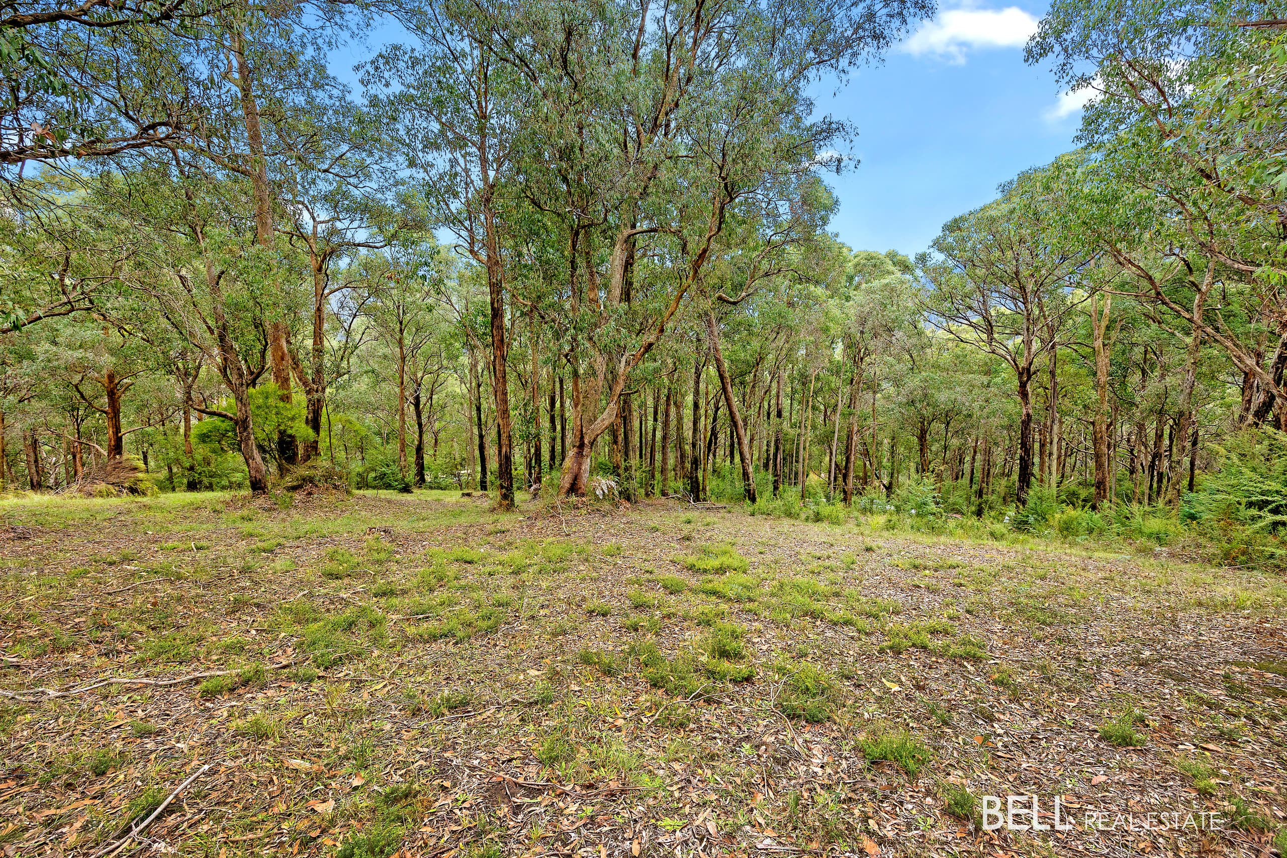 3 Summit Close, EAST WARBURTON, East Warburton - Thumbnail 3