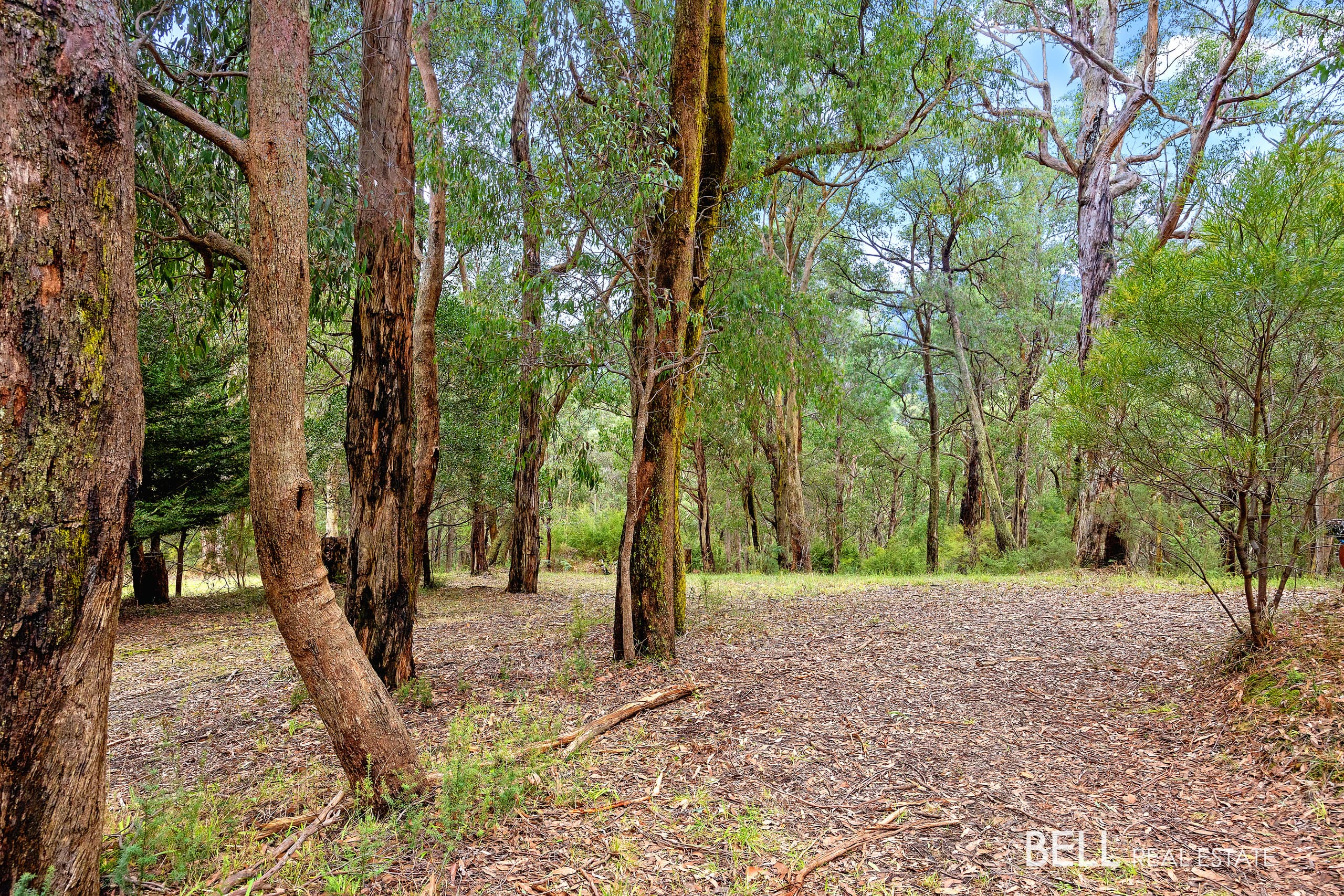 3 Summit Close, EAST WARBURTON, East Warburton - Thumbnail 6