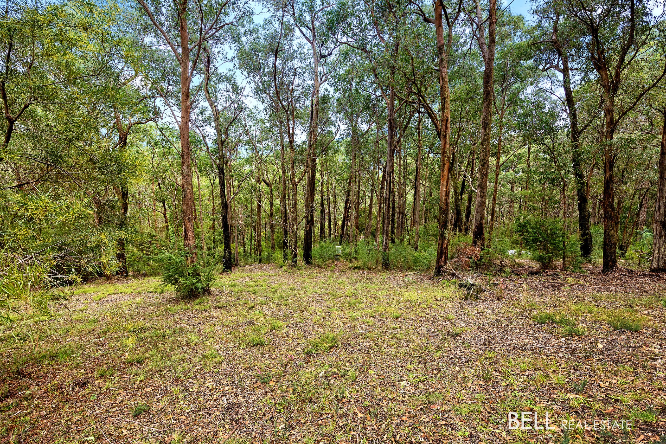 3 Summit Close, EAST WARBURTON, East Warburton - Thumbnail 5