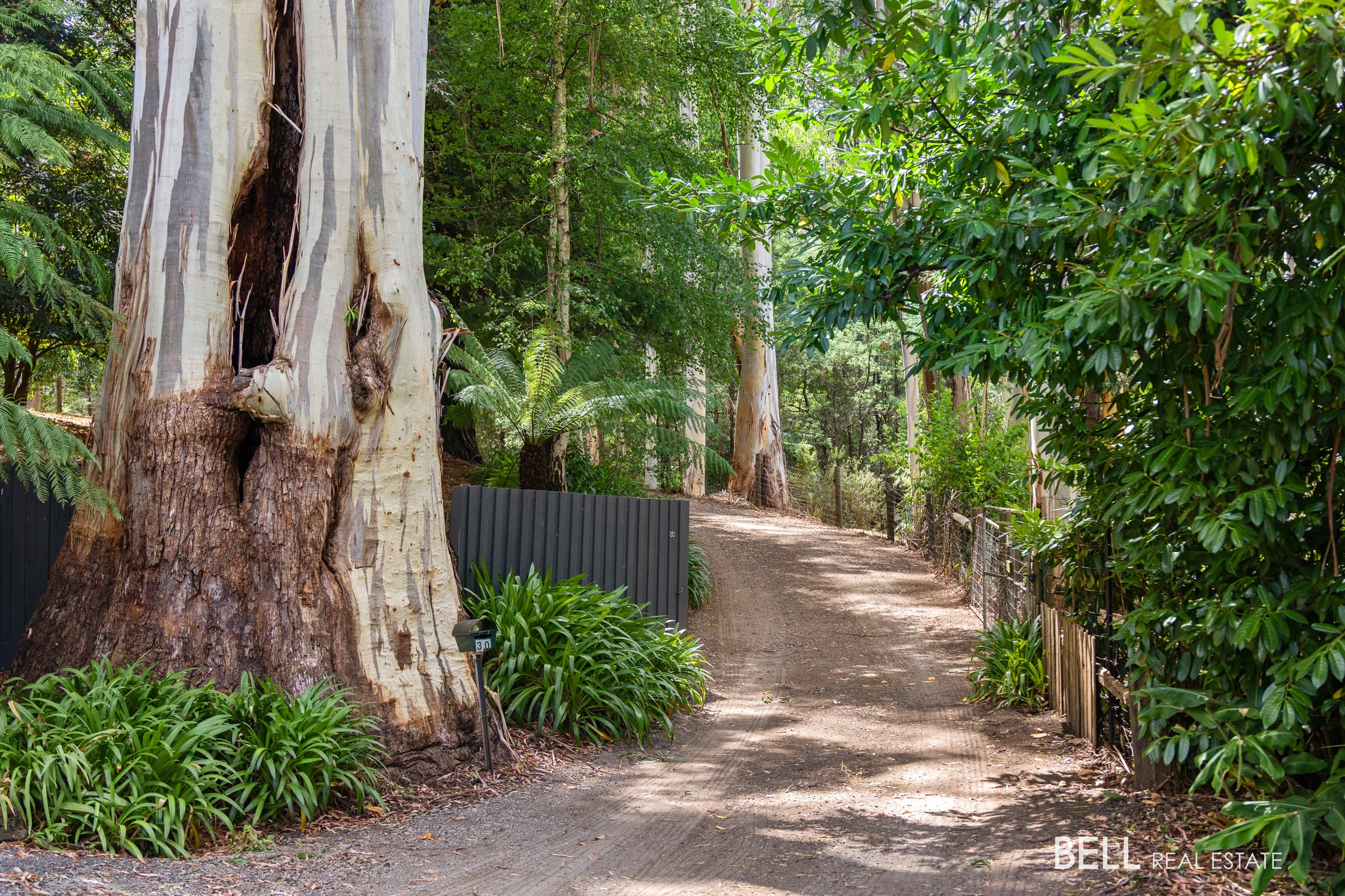 30 Hazelwood Road, EAST WARBURTON, East Warburton - Thumbnail 4