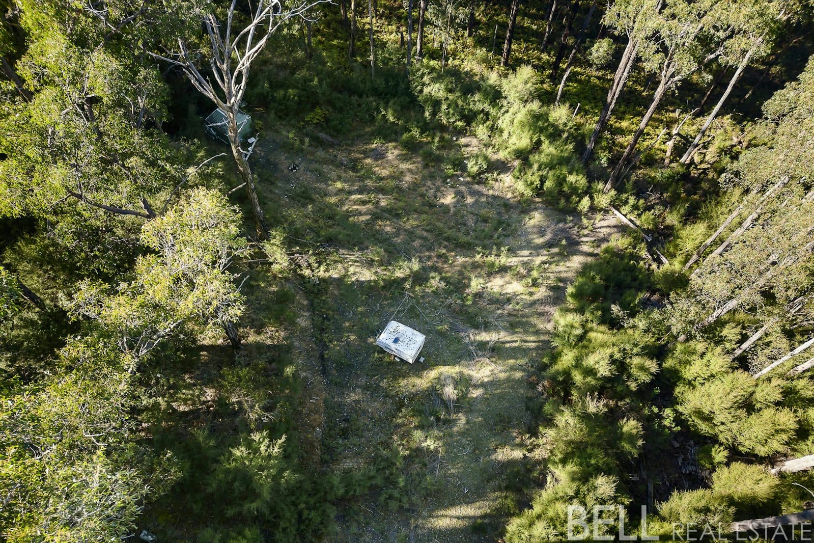 12 Cornelius Crescent, HEALESVILLE, Healesville - Thumbnail 6