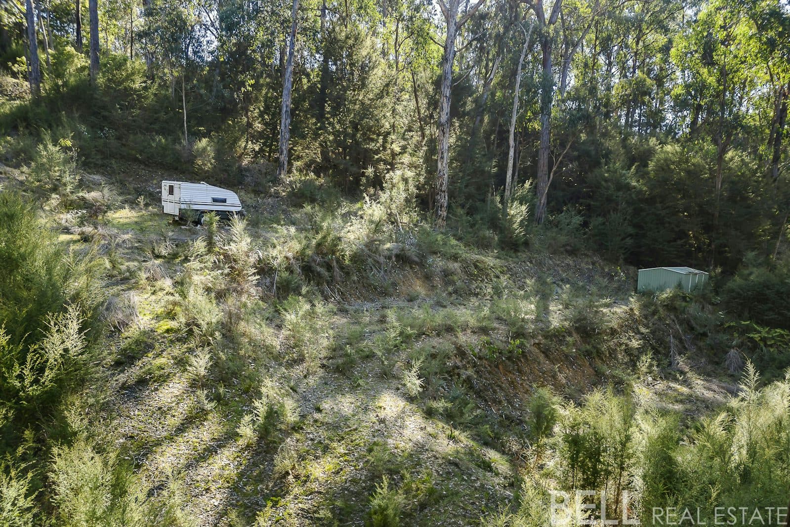 12 Cornelius Crescent, HEALESVILLE, Healesville - Thumbnail 8