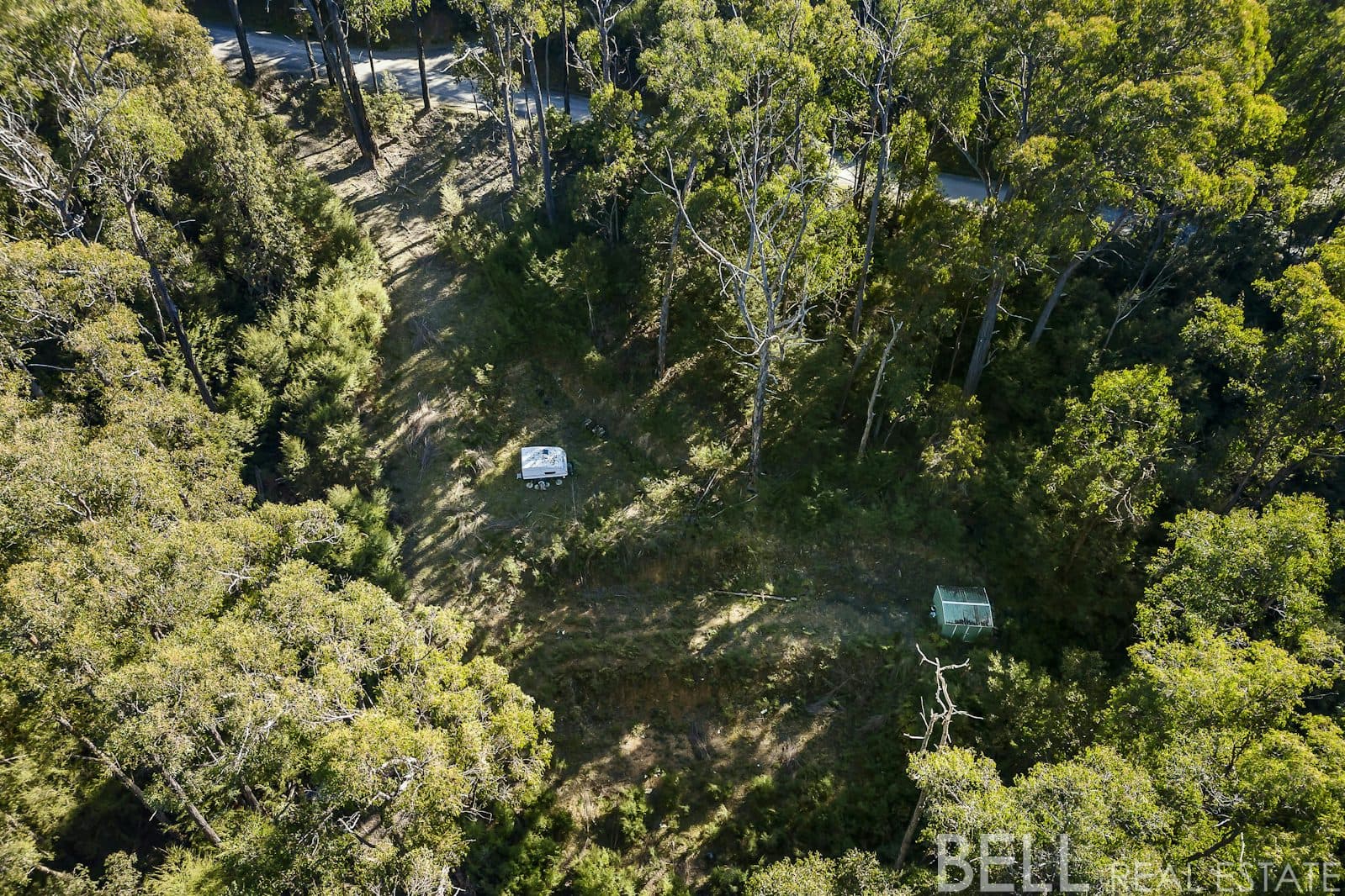 12 Cornelius Crescent, HEALESVILLE, Healesville - Thumbnail 5