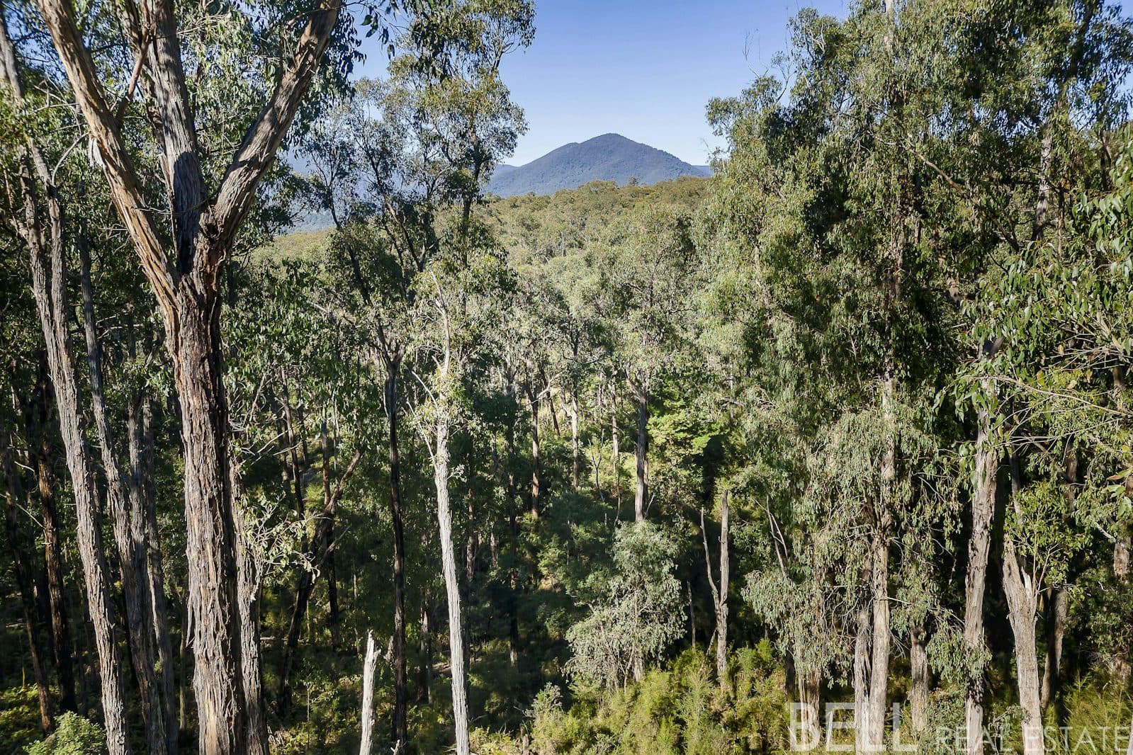 12 Cornelius Crescent, HEALESVILLE, Healesville - Thumbnail 7