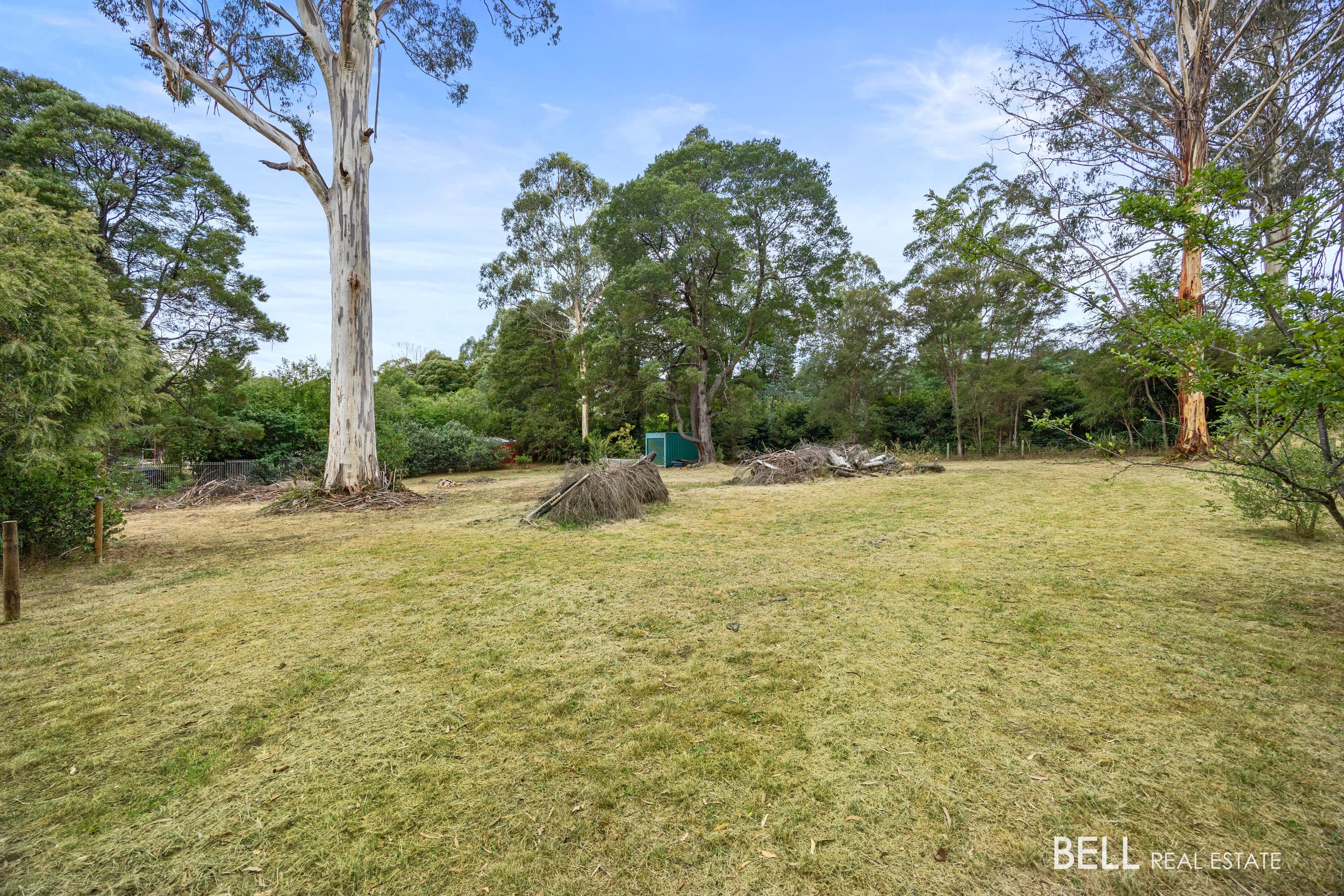 8 Whitegum Drive, EAST WARBURTON, East Warburton - Thumbnail 3