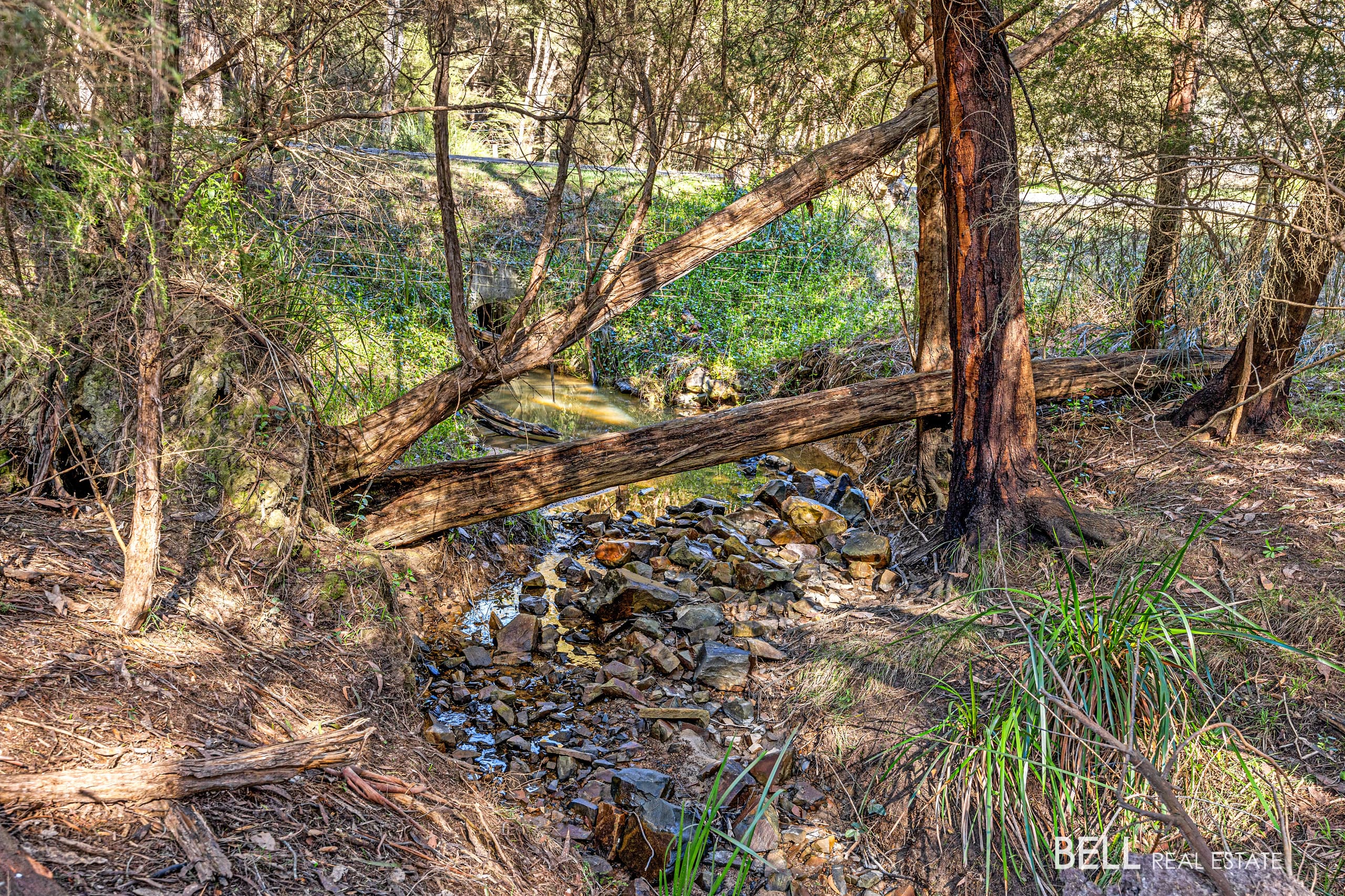 45 Kylie Lane, SEVILLE EAST, Seville East - Thumbnail 4
