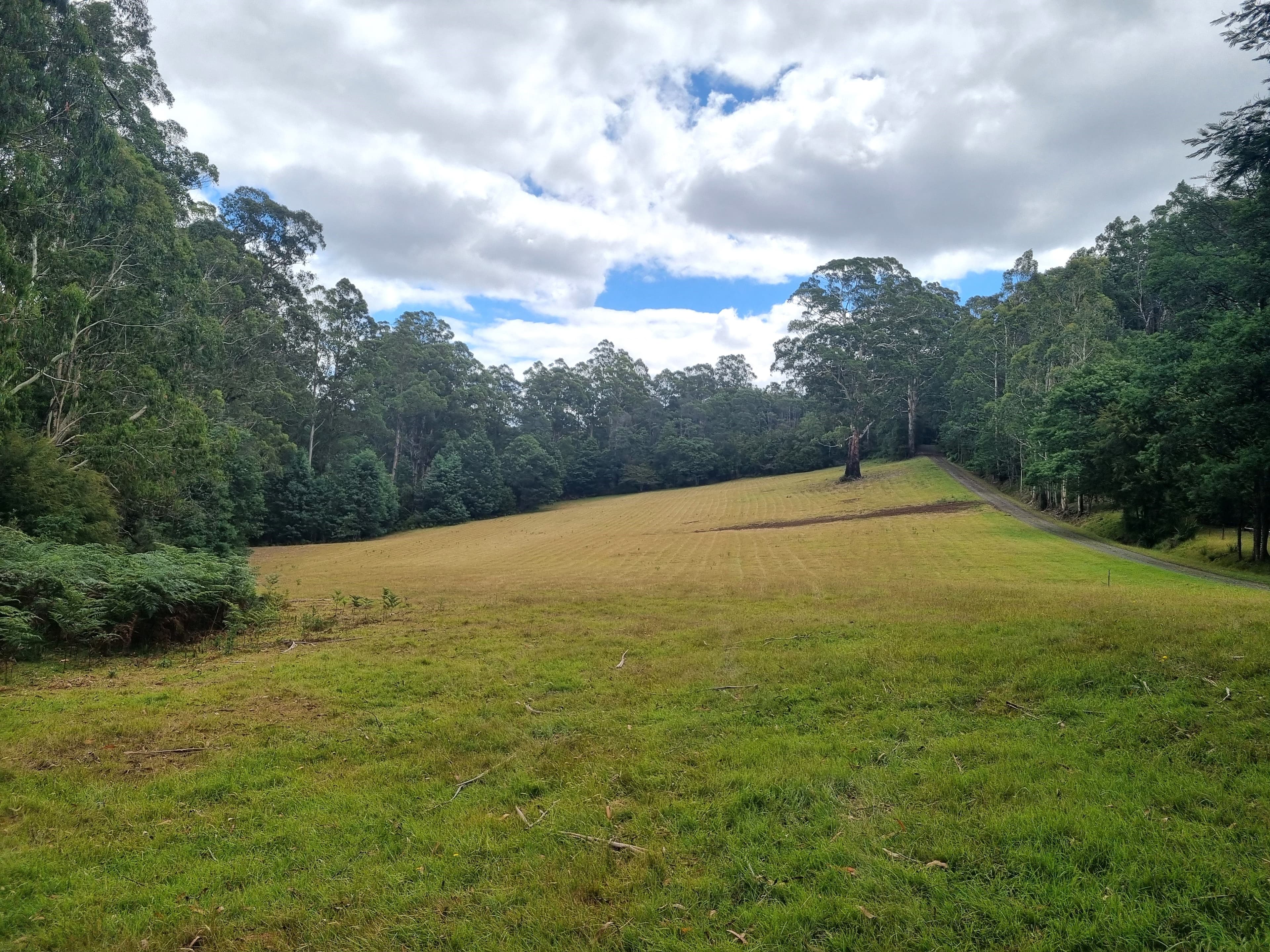 35 Aukland Drive, YELLINGBO, Yellingbo - Thumbnail 5