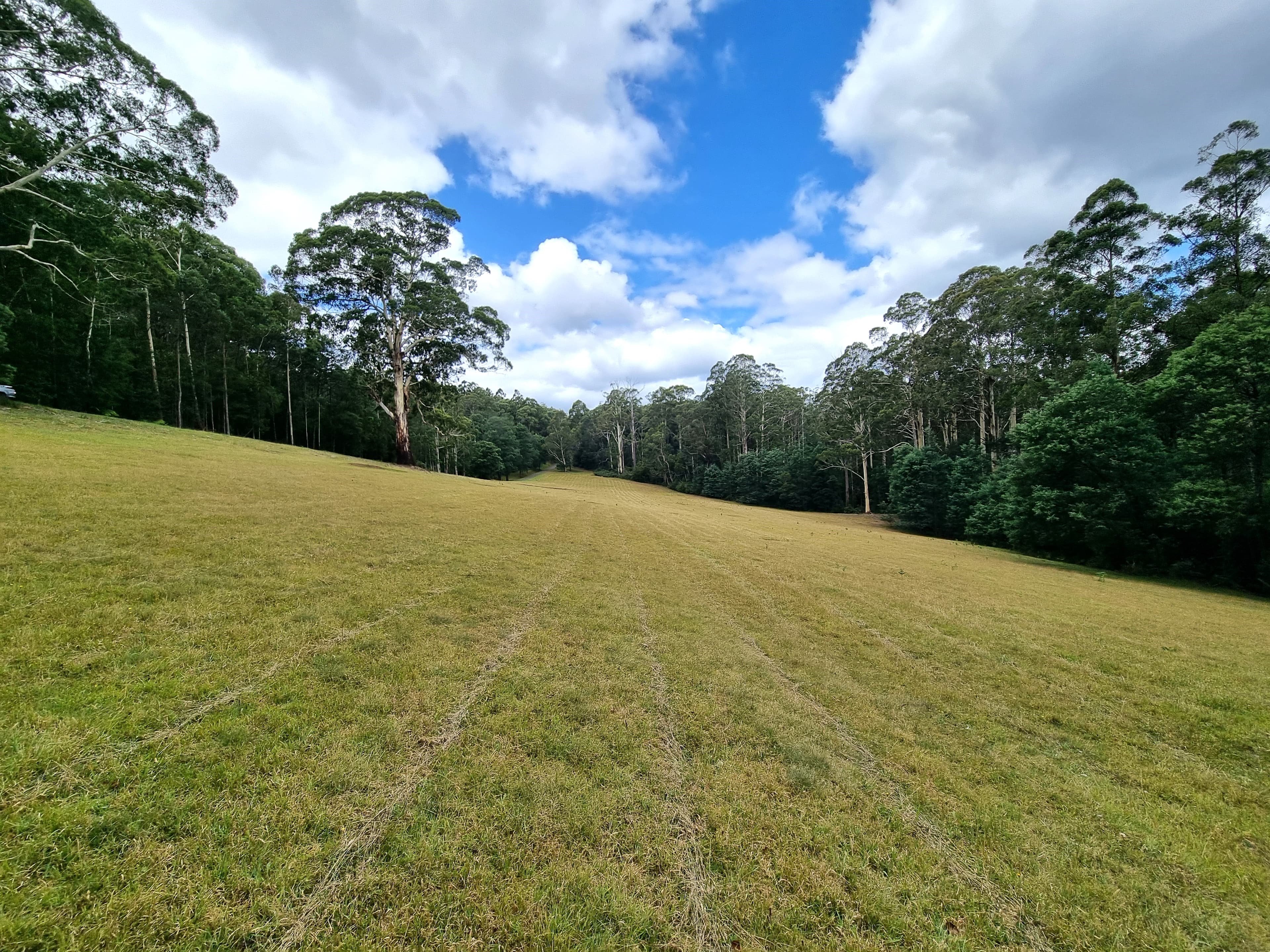 35 Aukland Drive, YELLINGBO, Yellingbo - Thumbnail 2