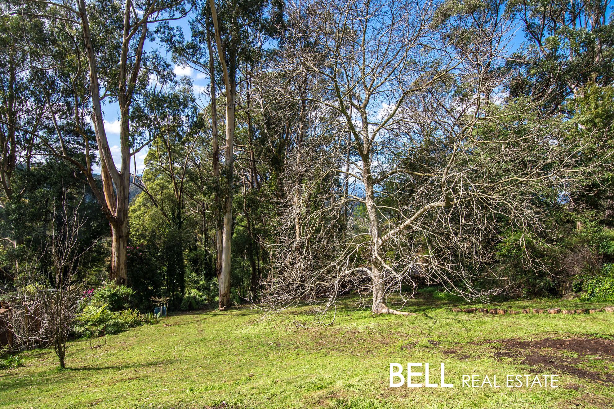 20 Caroline Crescent, KALORAMA, Kalorama - Thumbnail 5