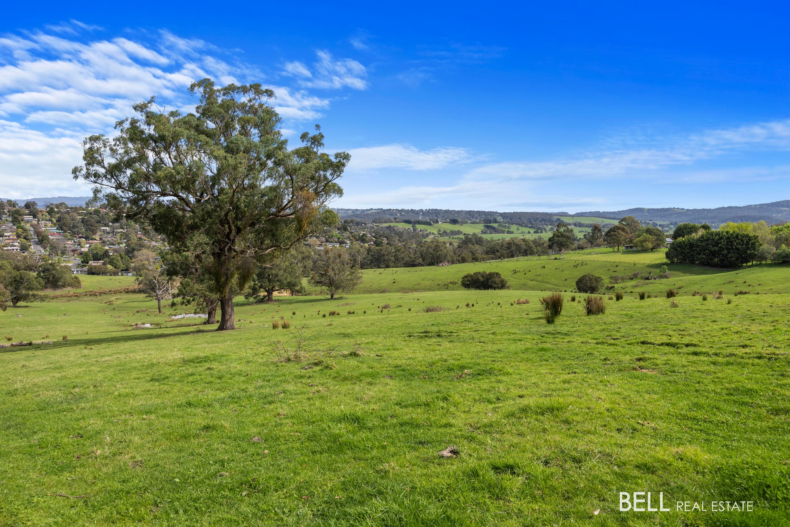56  Allsops Road, WOORI YALLOCK, Woori Yallock - Thumbnail 4